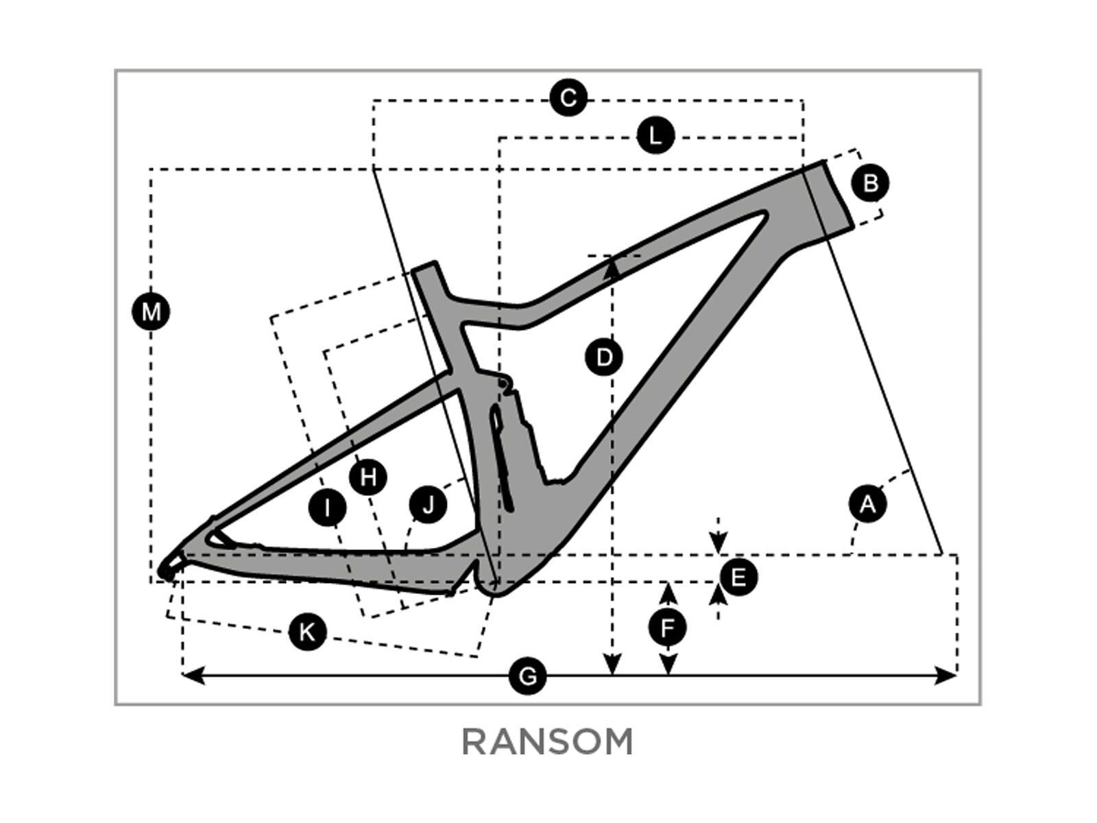 Scott Ransom 930, cool raw alloy - Bild 3