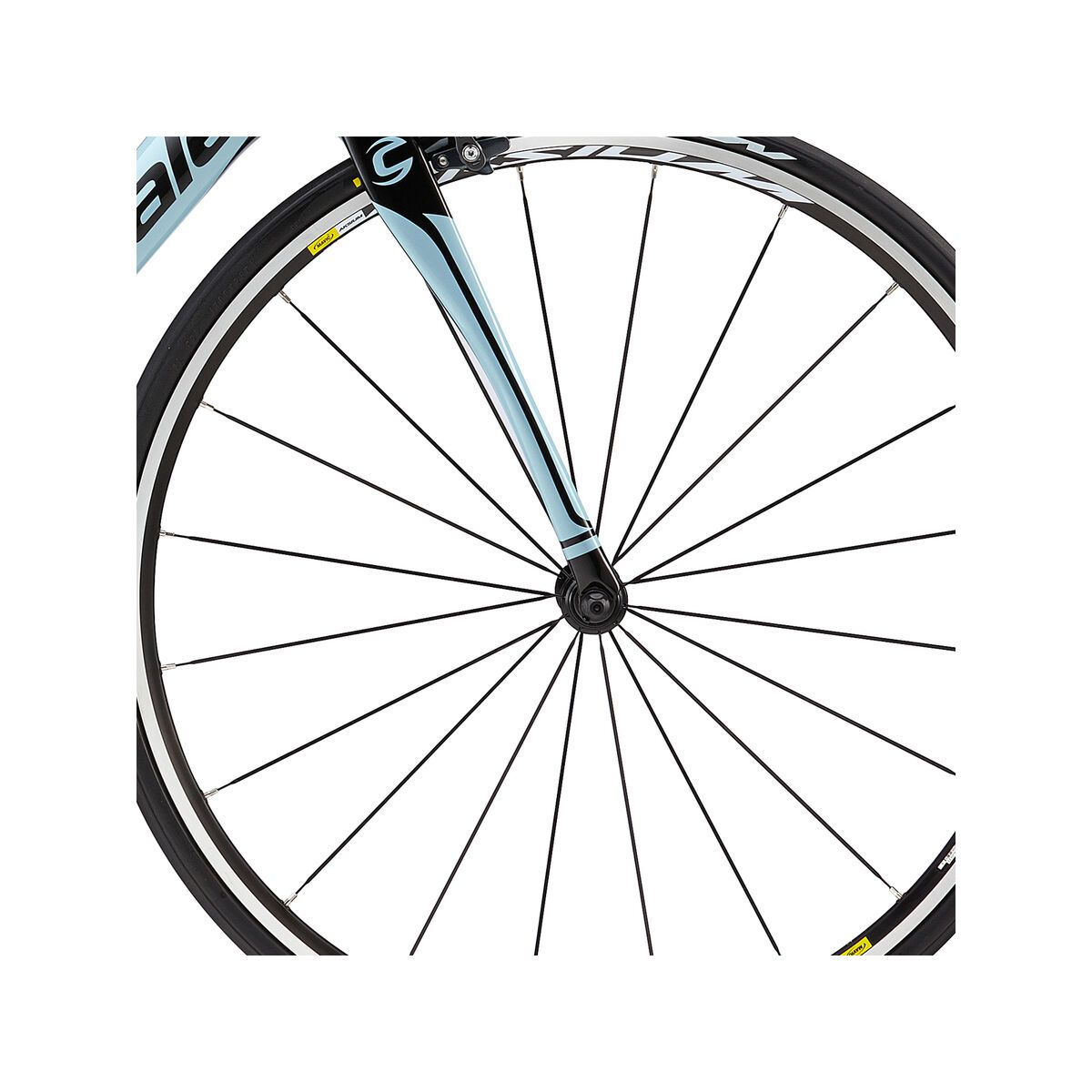 Cannondale Synapse Carbon Ultegra, blue with jet black, glosse - Bild 2