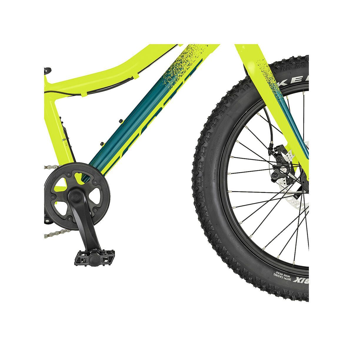 Scott Roxter 20 20 - Bild 4