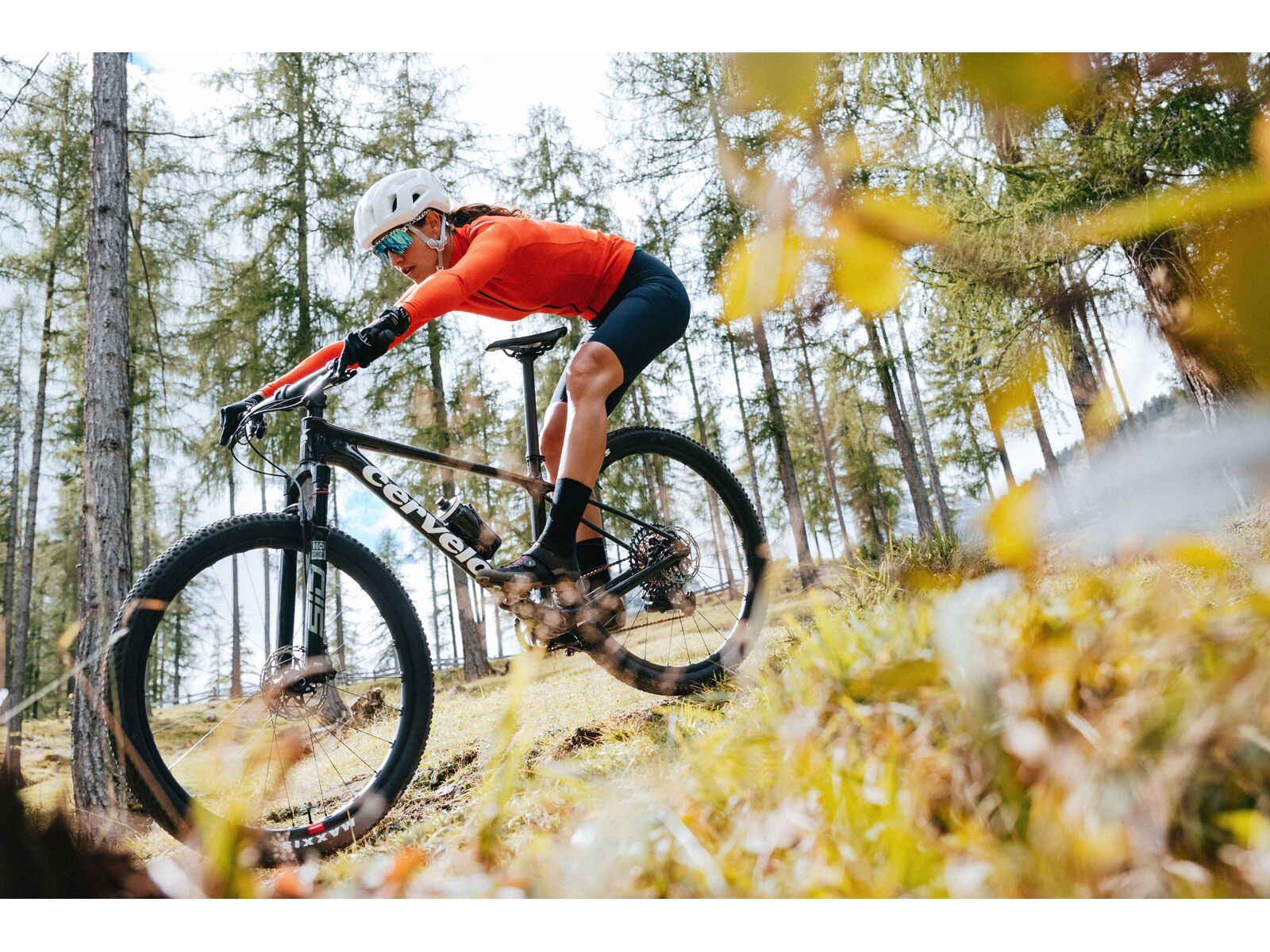 Cervelo ZHT-5 GX Eagle, five black - Bild 15