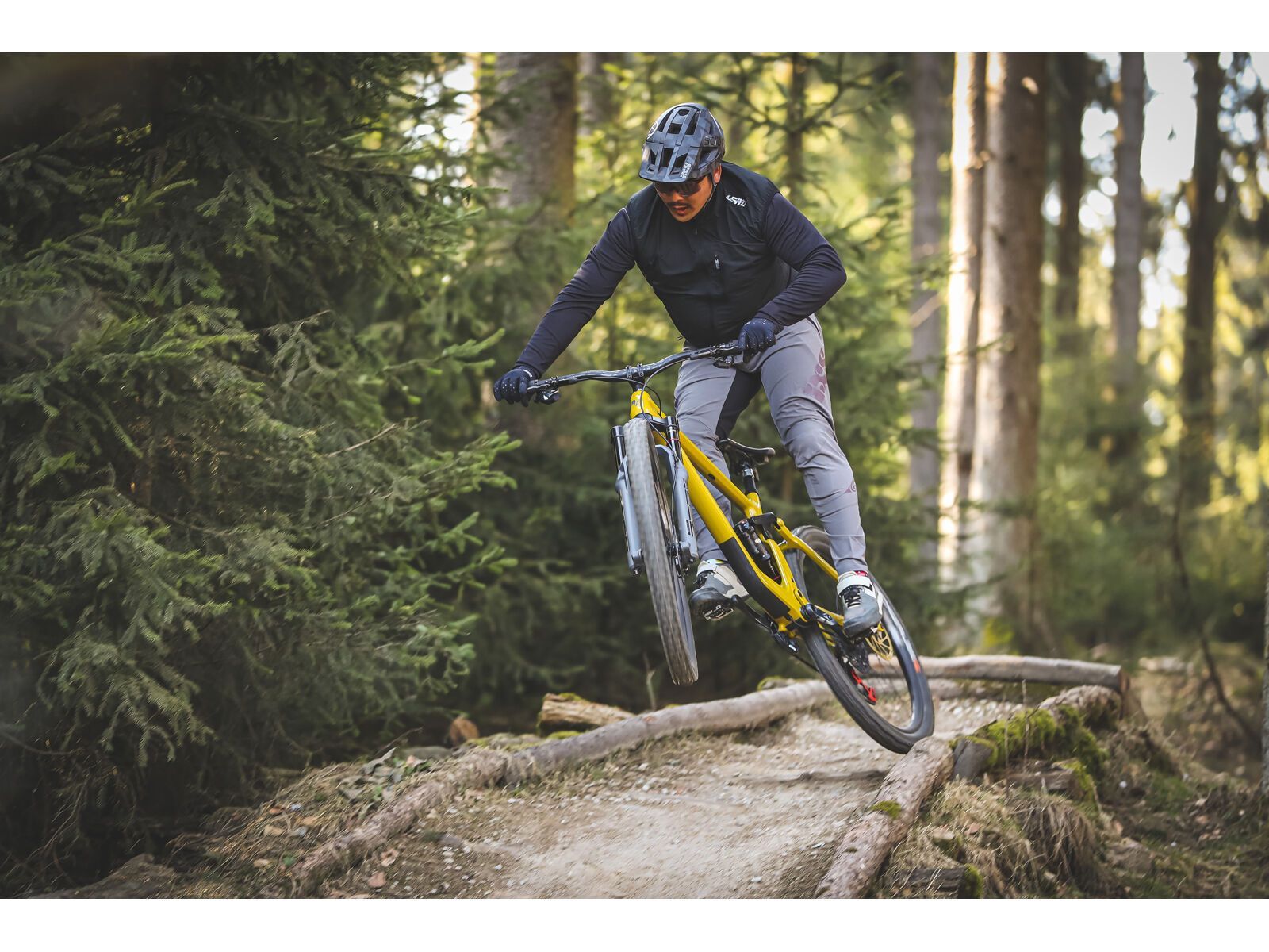 SCIU Aspen, moss yellow - Bild 15