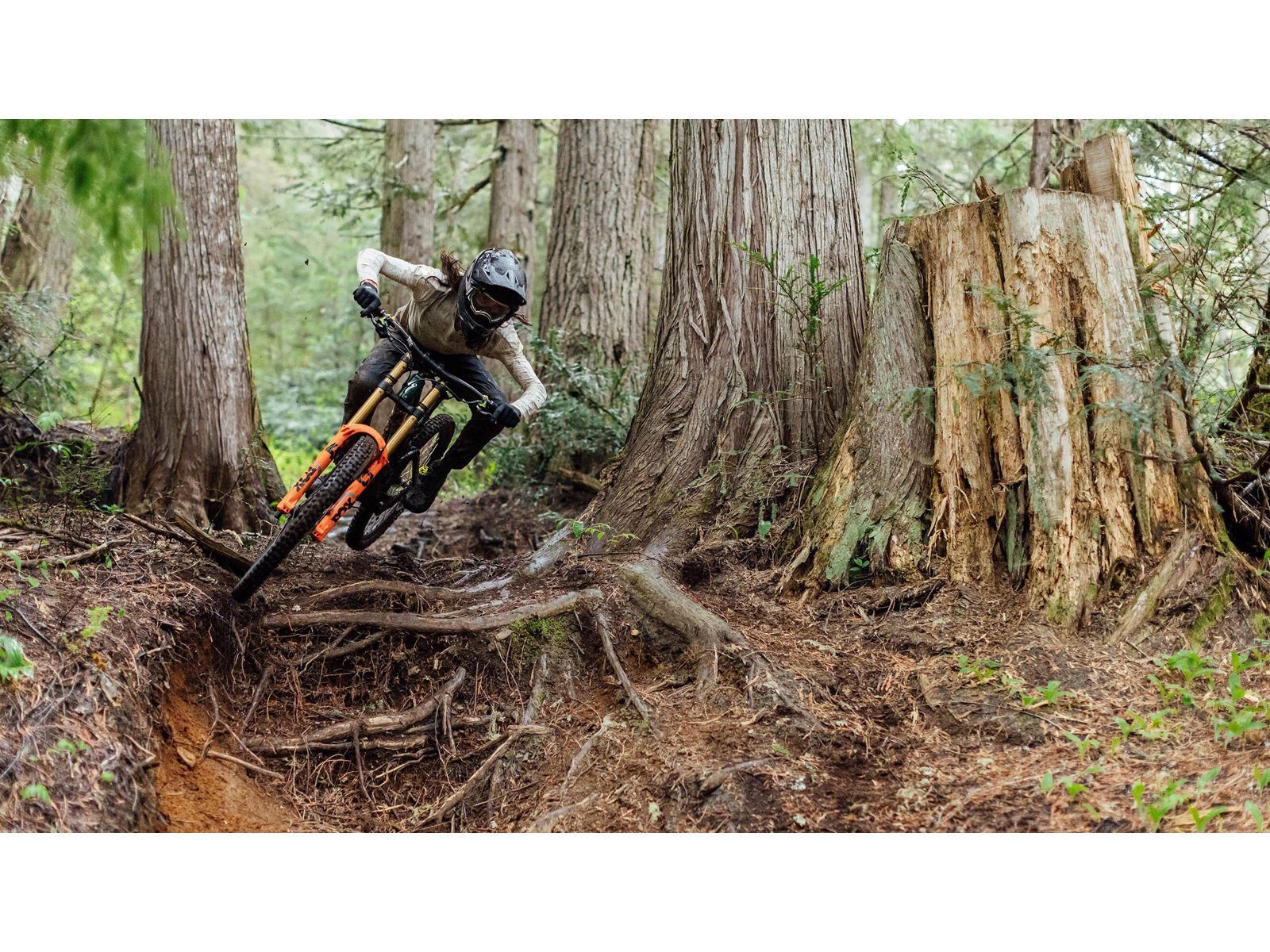 Specialized Hillbilly Grid Gravity 2Bliss Ready T9 - 29 Zoll - Bild 4