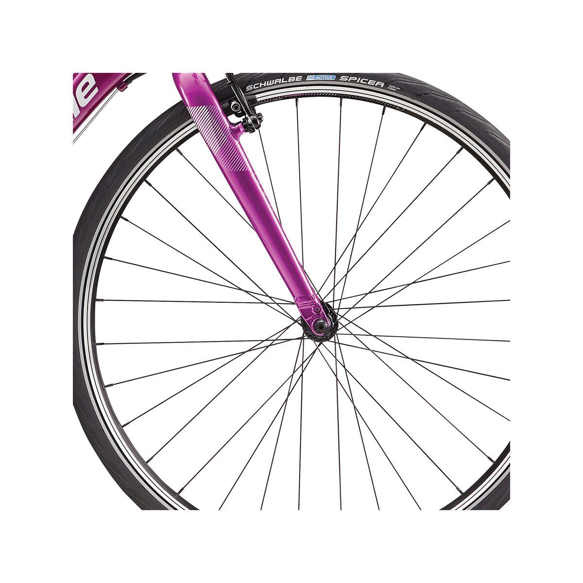 Cannondale Quick 6 Women's, road purple w/ primer and orchid, reflective detail, gloss - PUR - Bild 2