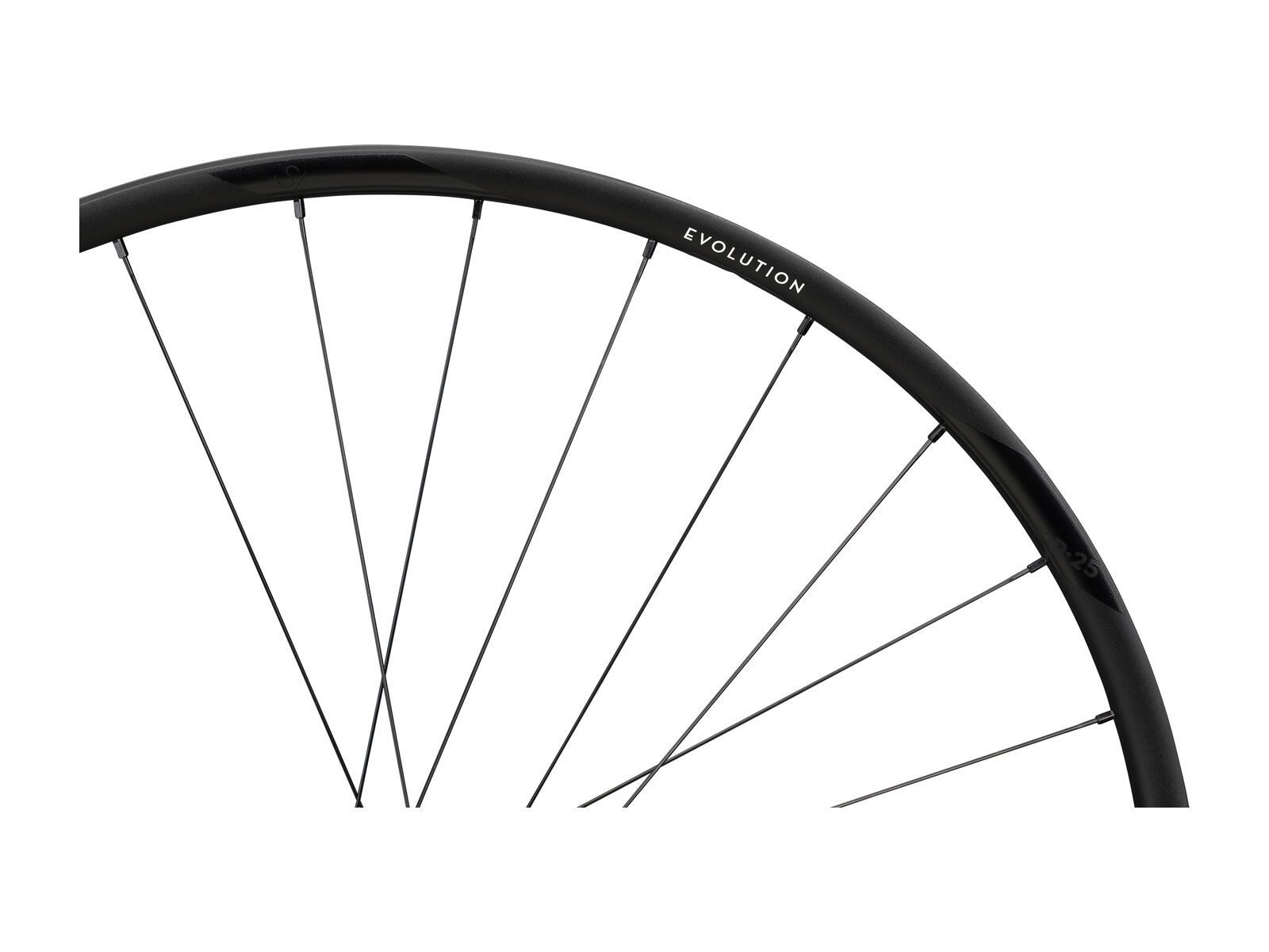 Newmen Evolution SL X.R.25 Centerlock - 700C / 12x100 mm, black - Bild 3