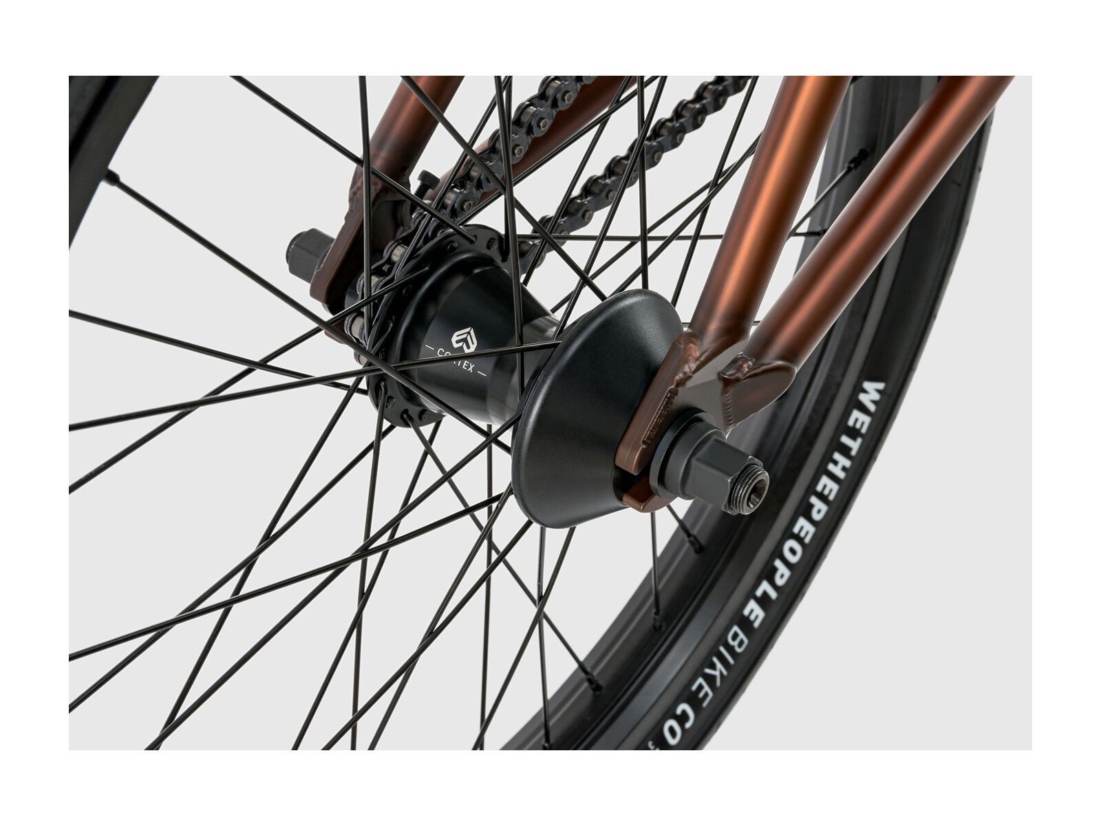 WeThePeople Zodiac, translucent brown - Bild 7