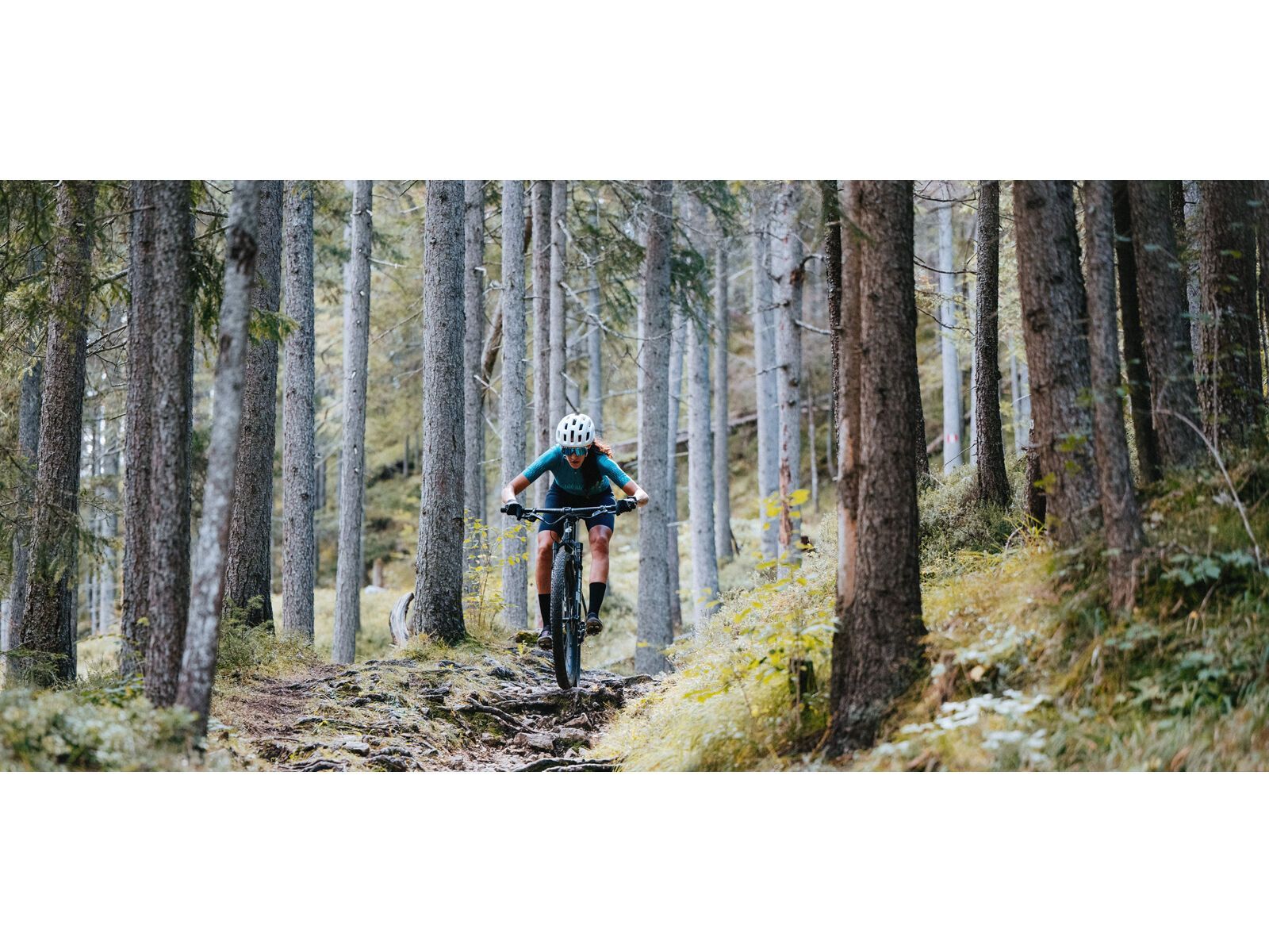 Cervelo ZHT-5 GX Eagle, five black - Bild 7