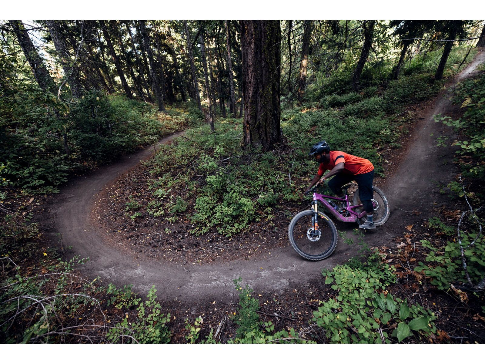 Santa Cruz Heckler SL C / R / MX, gloss magenta - Bild 15