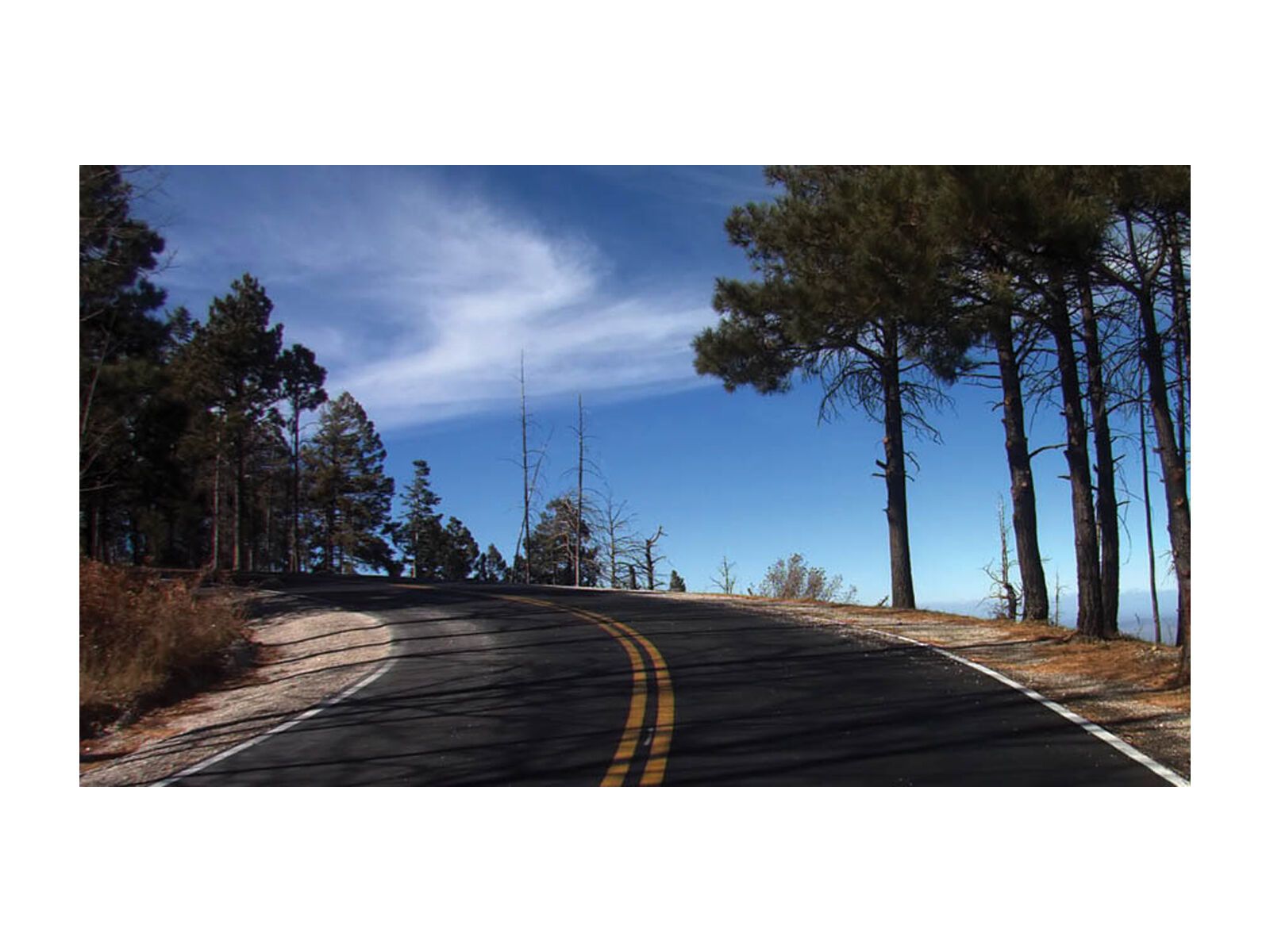 Tacx Real Life Video - Arizona Climbs (USA) - Bild 2