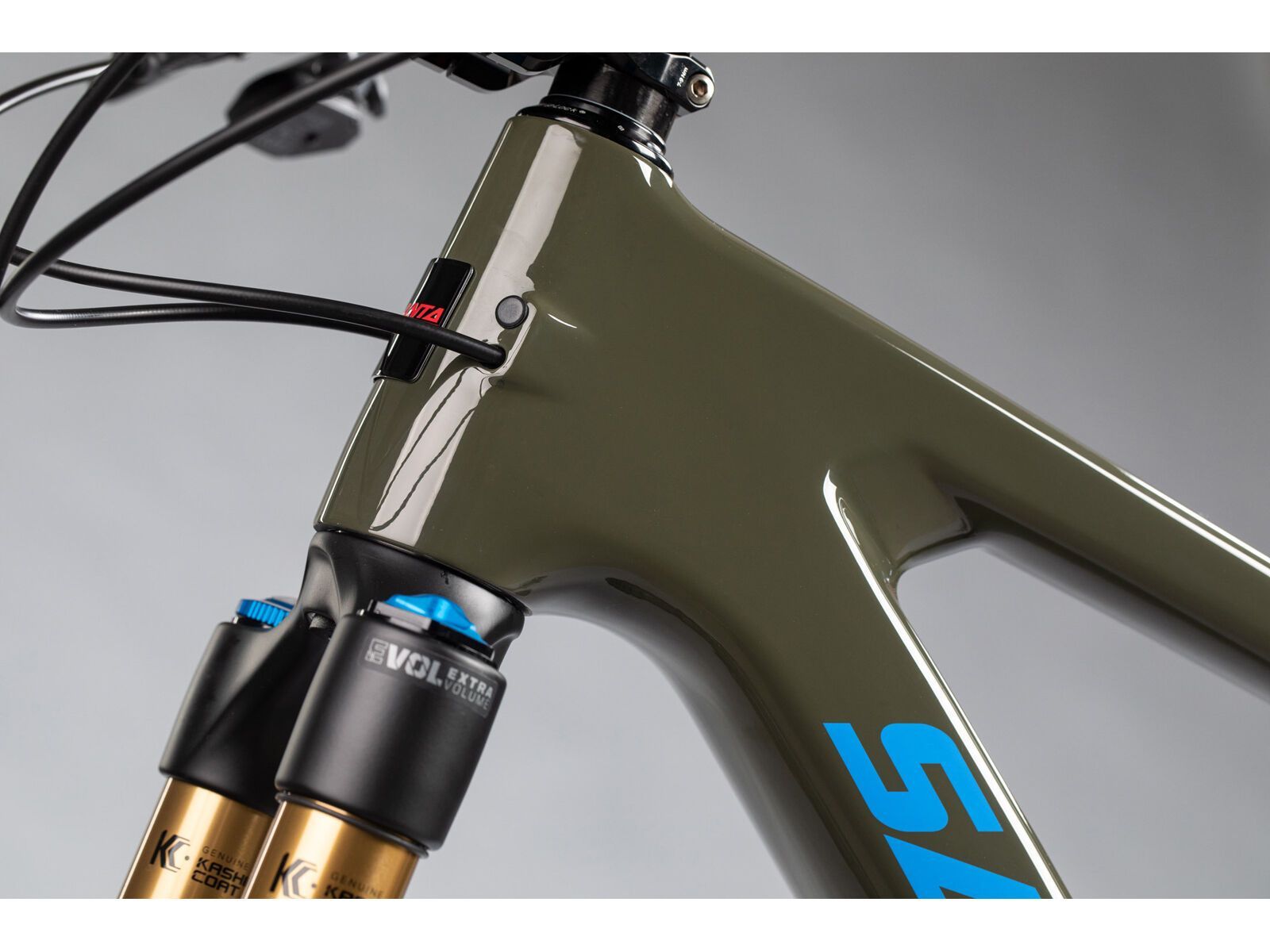 Santa Cruz Bronson C / S / MX, gloss moss/blue - Bild 2