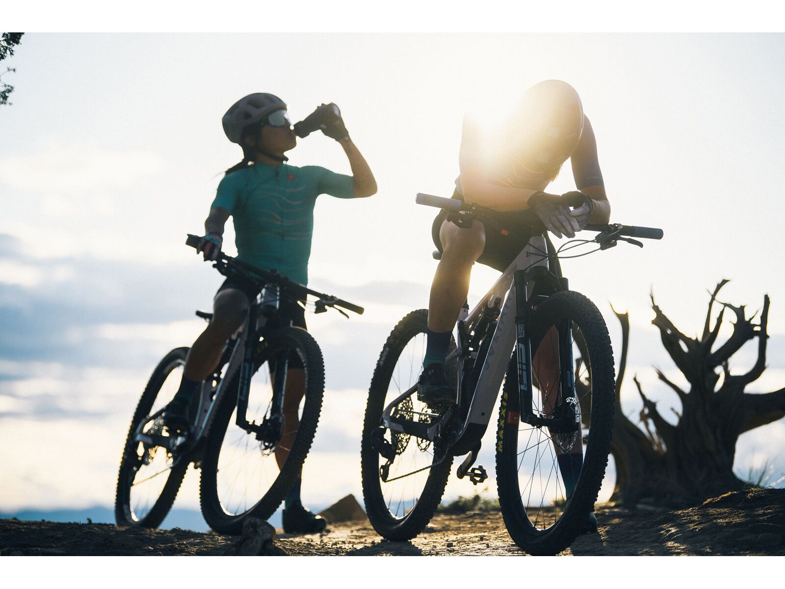 Juliana Wilder C / R / TR / 29, purple sweetness / lavender - Bild 16