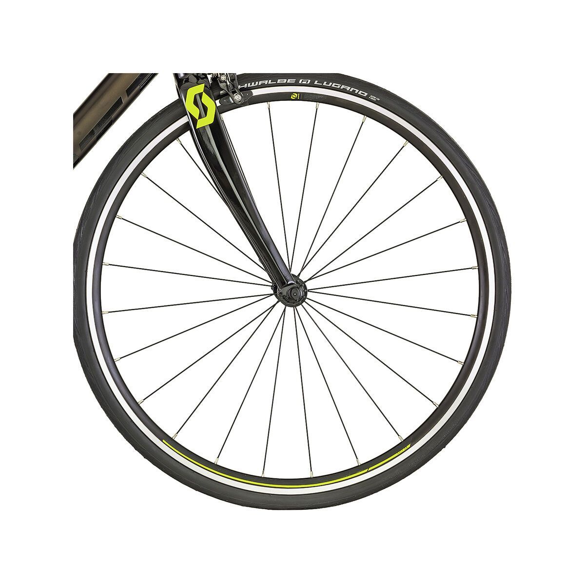 Scott Speedster 40 - Bild 3