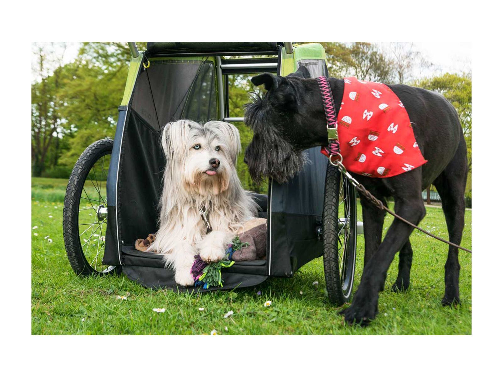 Croozer Dog Jokke, grasshopper green - Bild 10