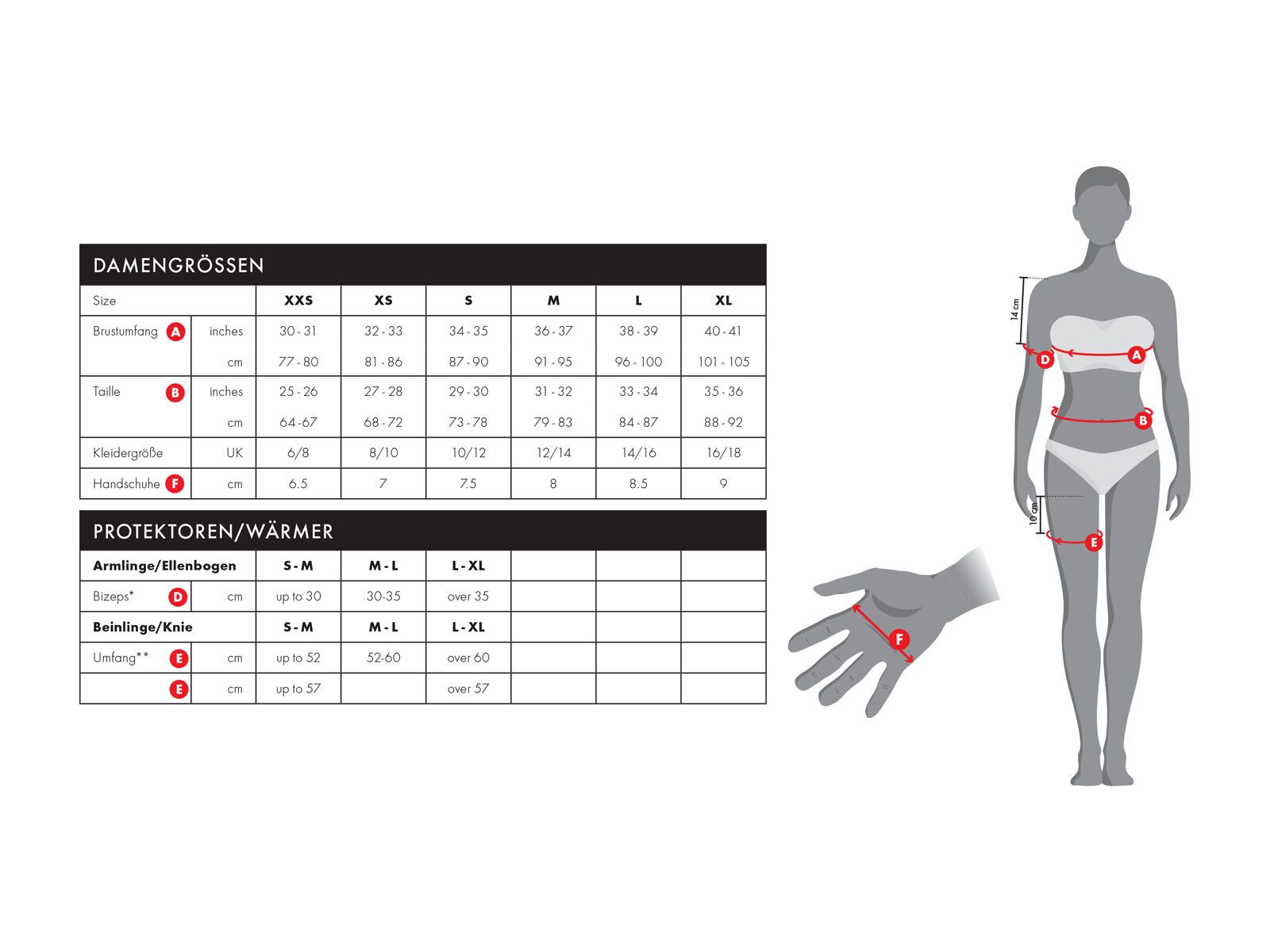 Endura Wms Pinstripe Bibshort, pinstripe - Bild 3