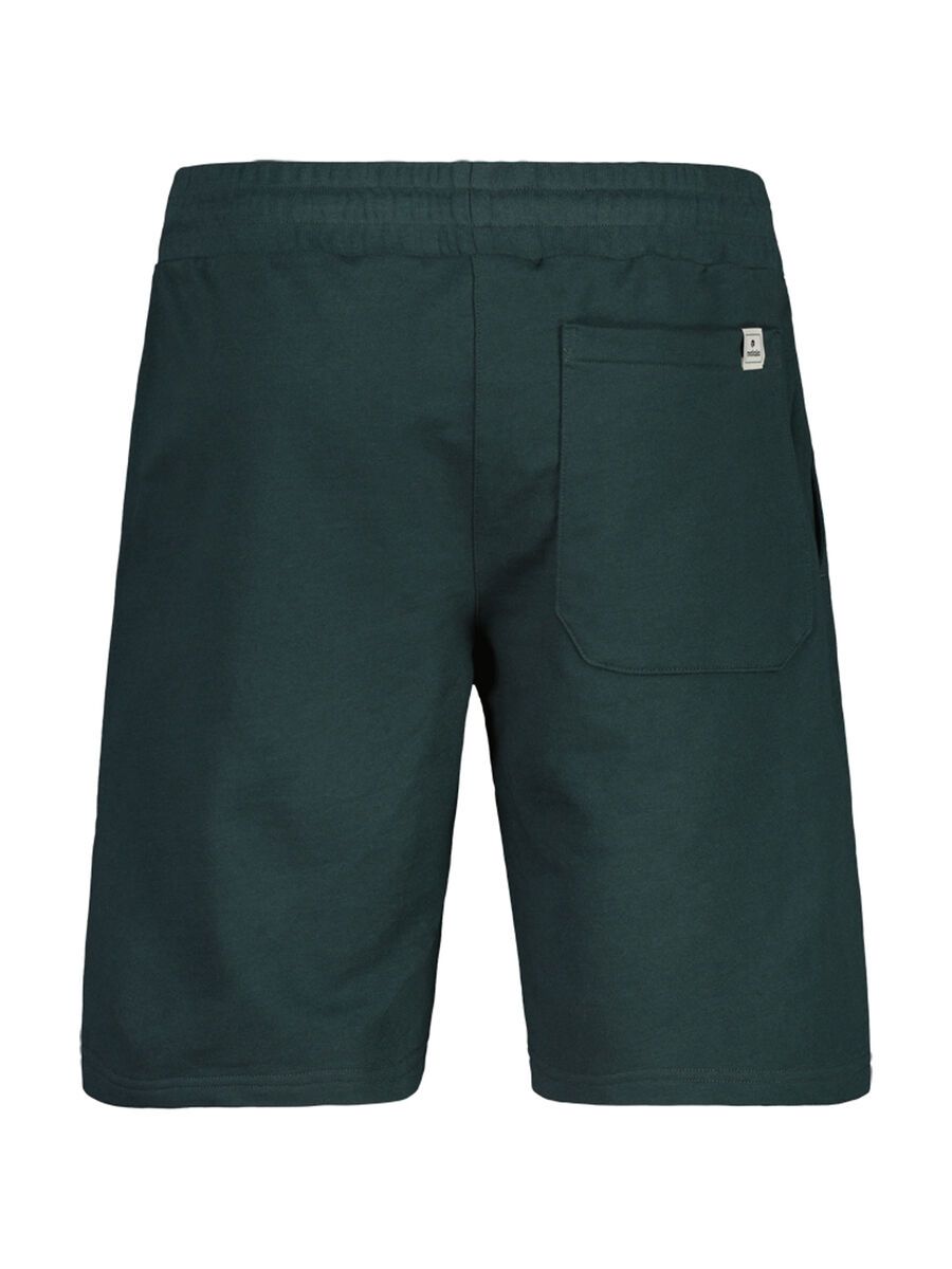 Maloja RettingerM., mountain pine - Bild 2