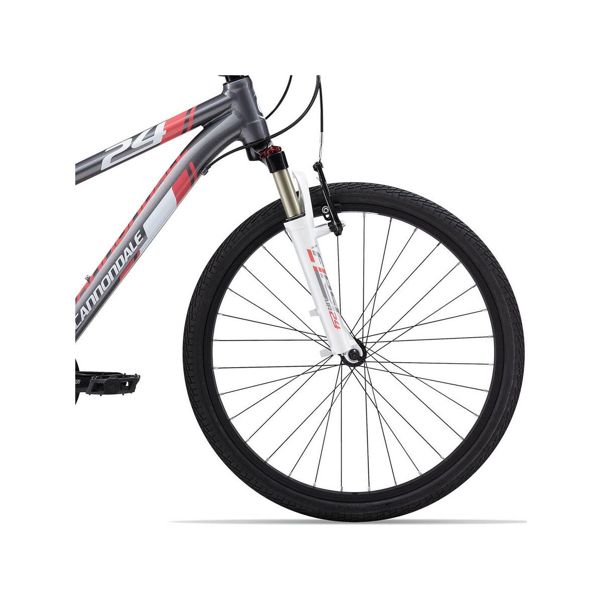 Cannondale Race 24 Girls 21-Speed, grau - Bild 2