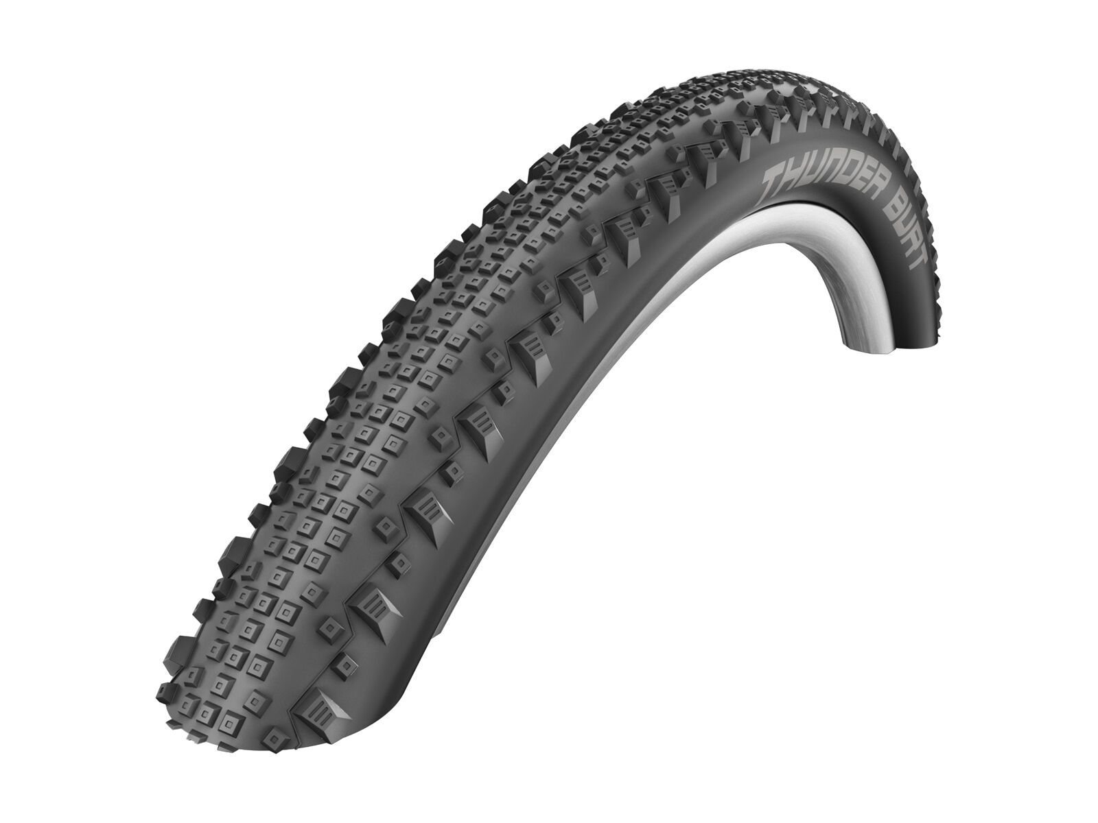 Schwalbe Thunder Burt Evolution RaceGuard - 29 Zoll, black - Bild 1