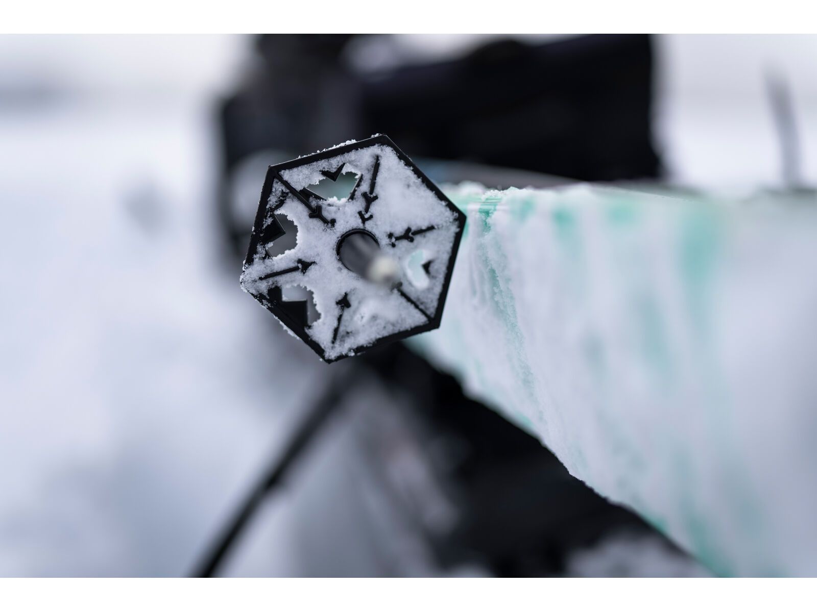 Black Crows Atris, turquoise green - Bild 12