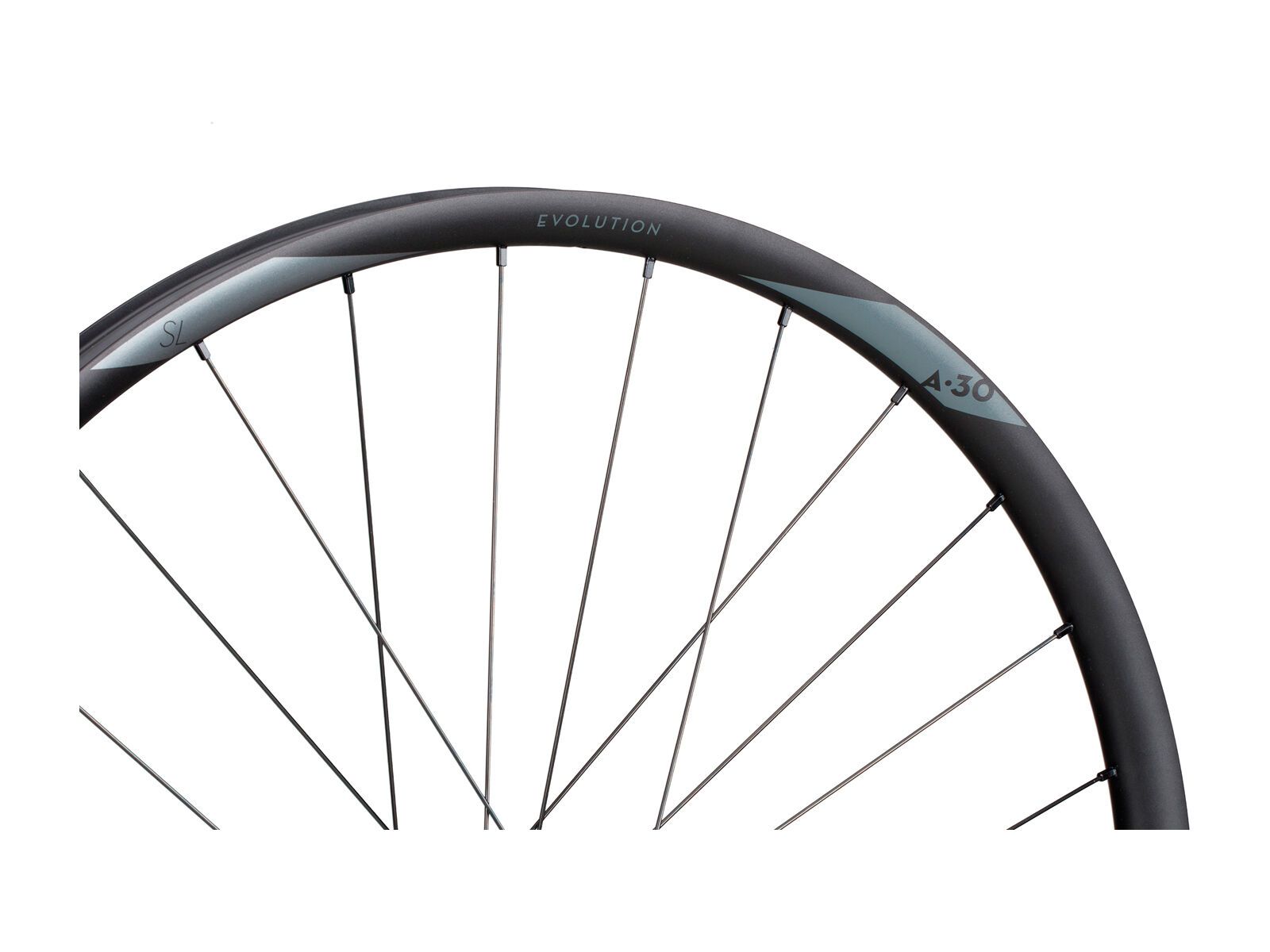 Newmen Evolution SL A.30 29 - Bild 5