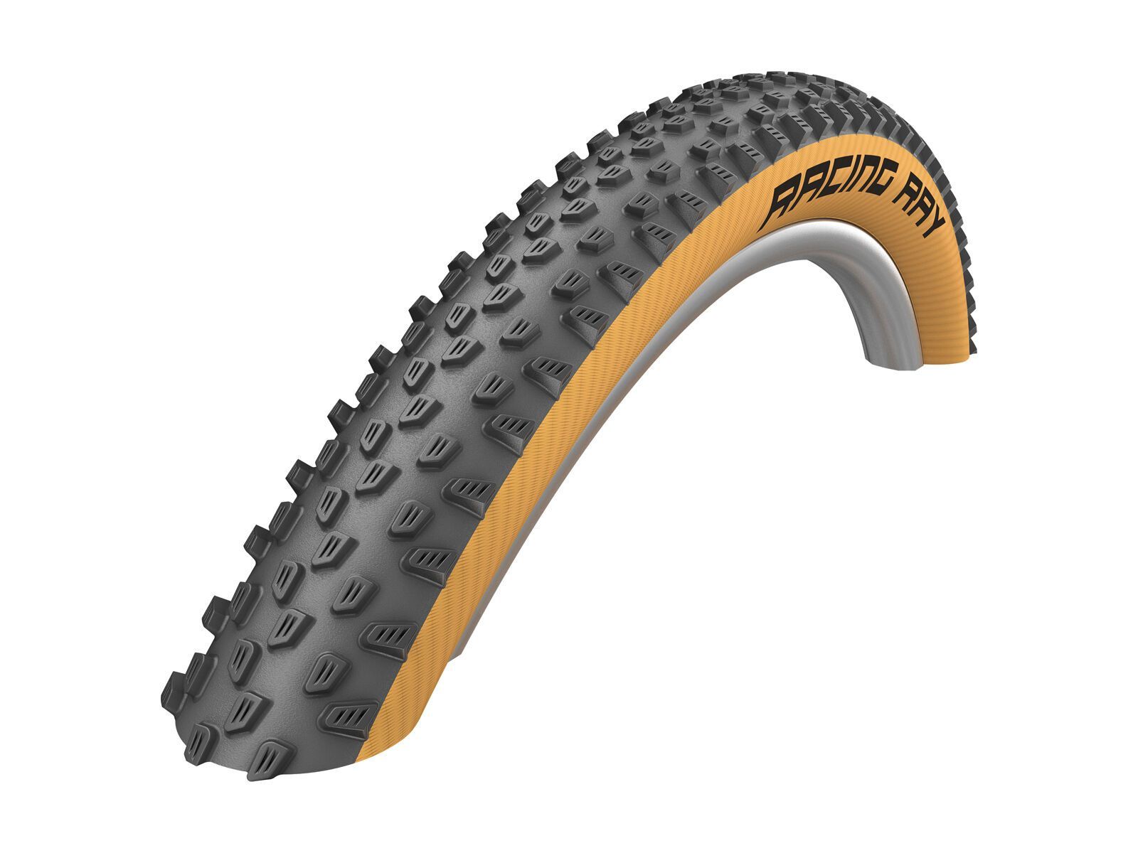 Schwalbe Racing Ray Evo Addix SpeedGrip - 29 Zoll, classic-skin - Bild 1
