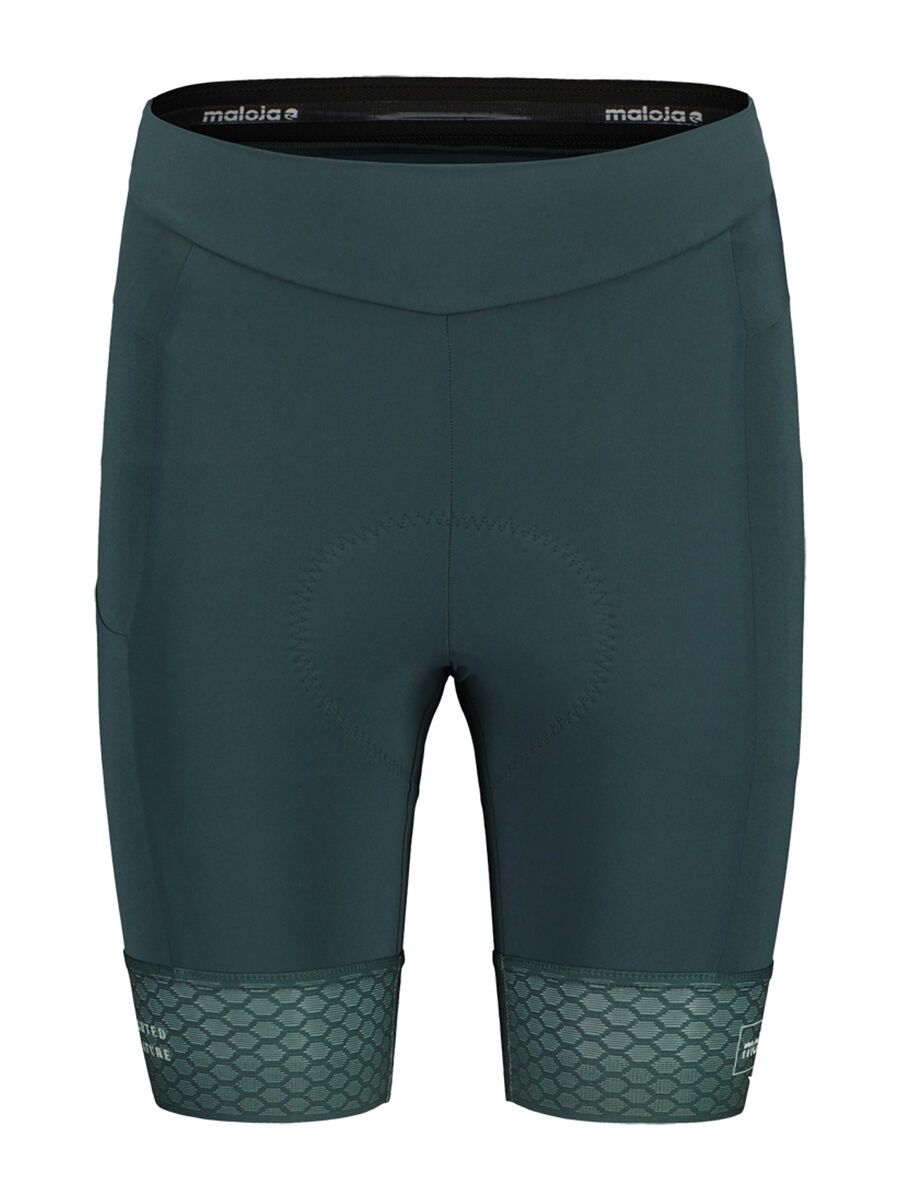 Maloja BarlaminaM., mountain pine - Bild 1