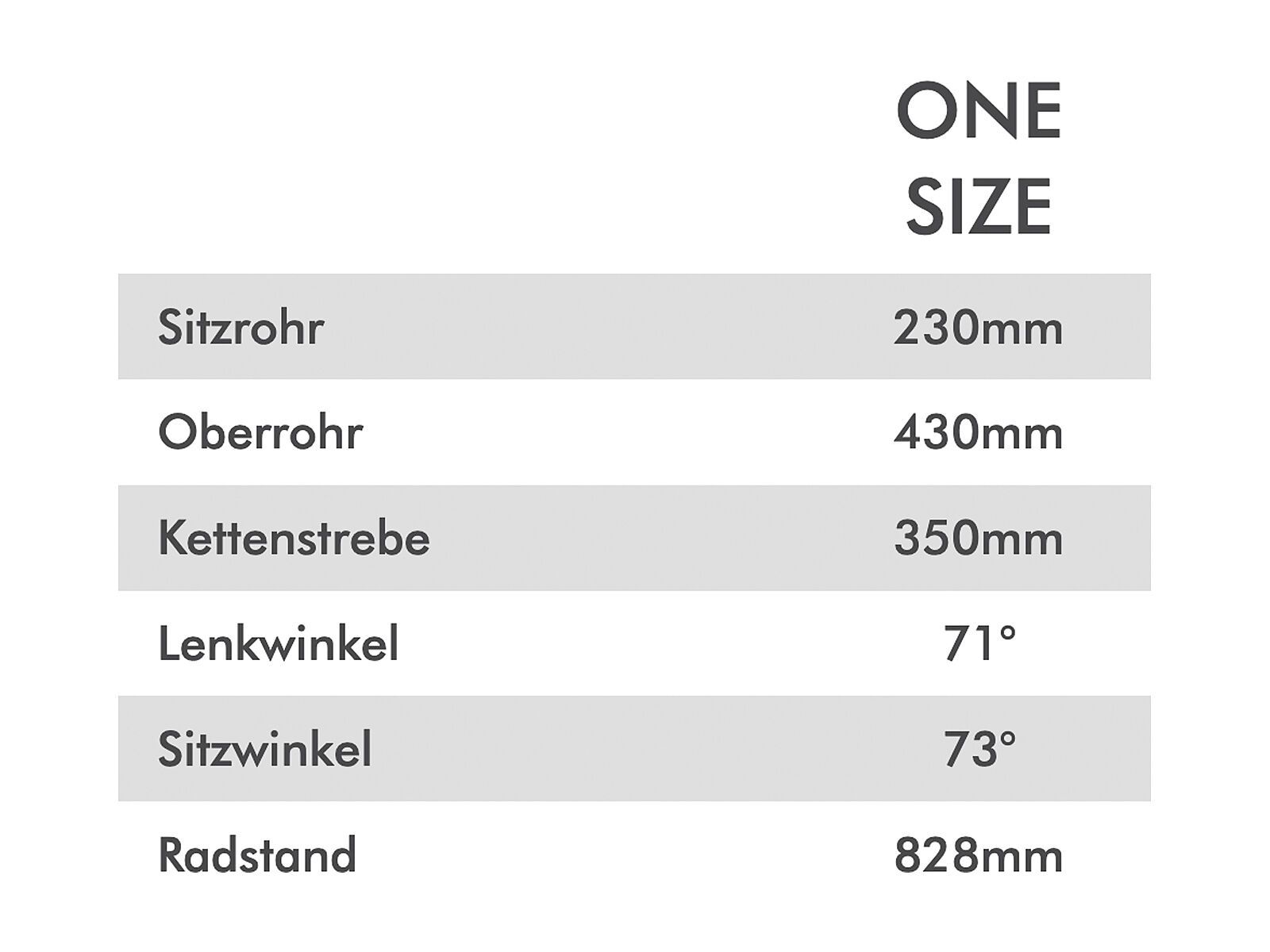 Conway MS 200 Suspension, white/purple - Bild 4