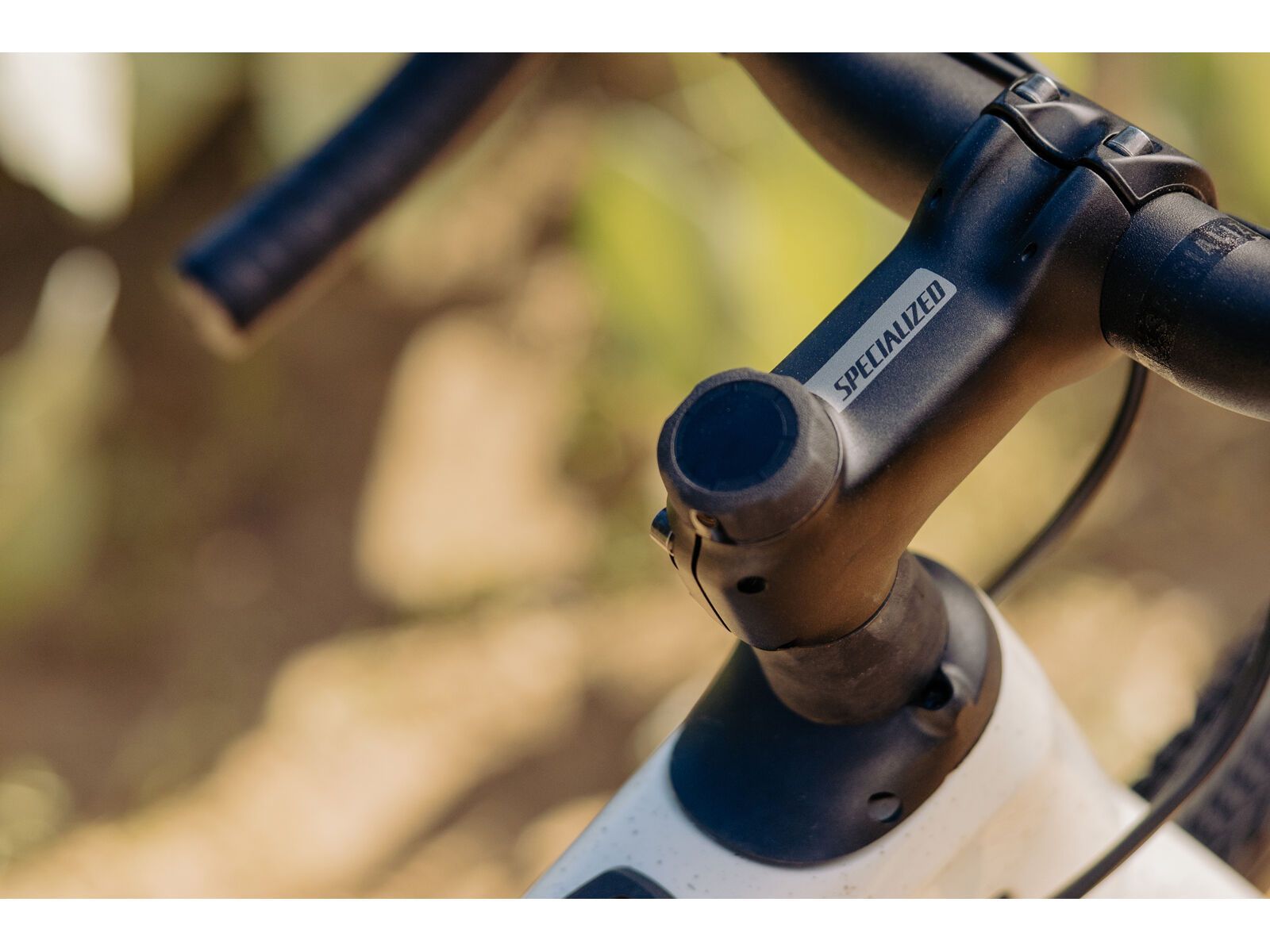 Specialized Turbo Creo 2 Expert Carbon, black pearl/birch/black pearl - Bild 26