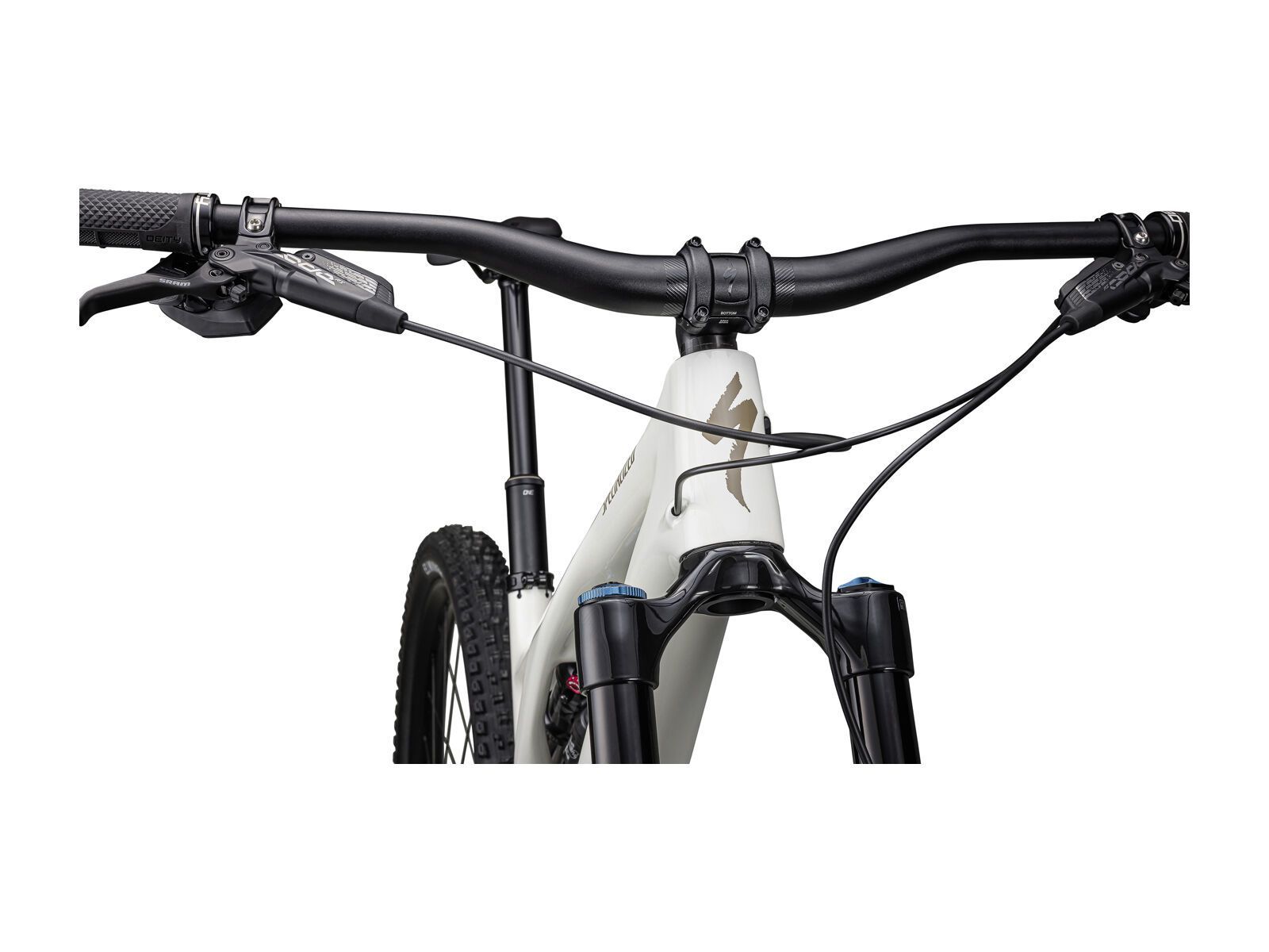 Specialized Stumpjumper Evo Expert, gloss birch/taupe - Bild 6