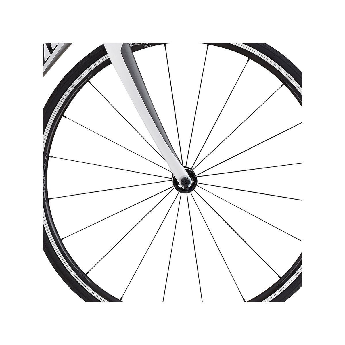 Specialized Amira SL4 Sport, gloss met white/charcoal/silver - Bild 2