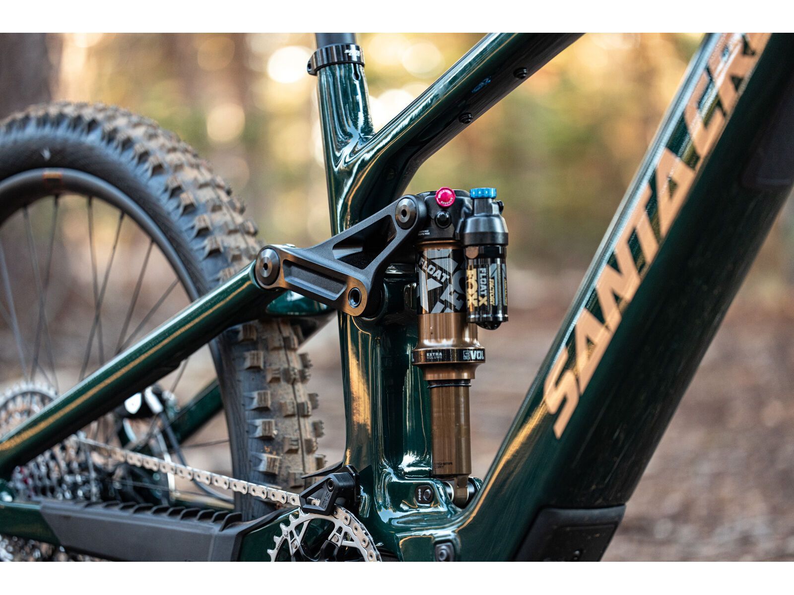 Santa Cruz Vala C / 70 / MX, gloss midnight green - Bild 20