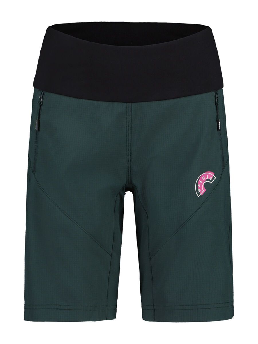 Maloja BadusM., mountain pine - Bild 1