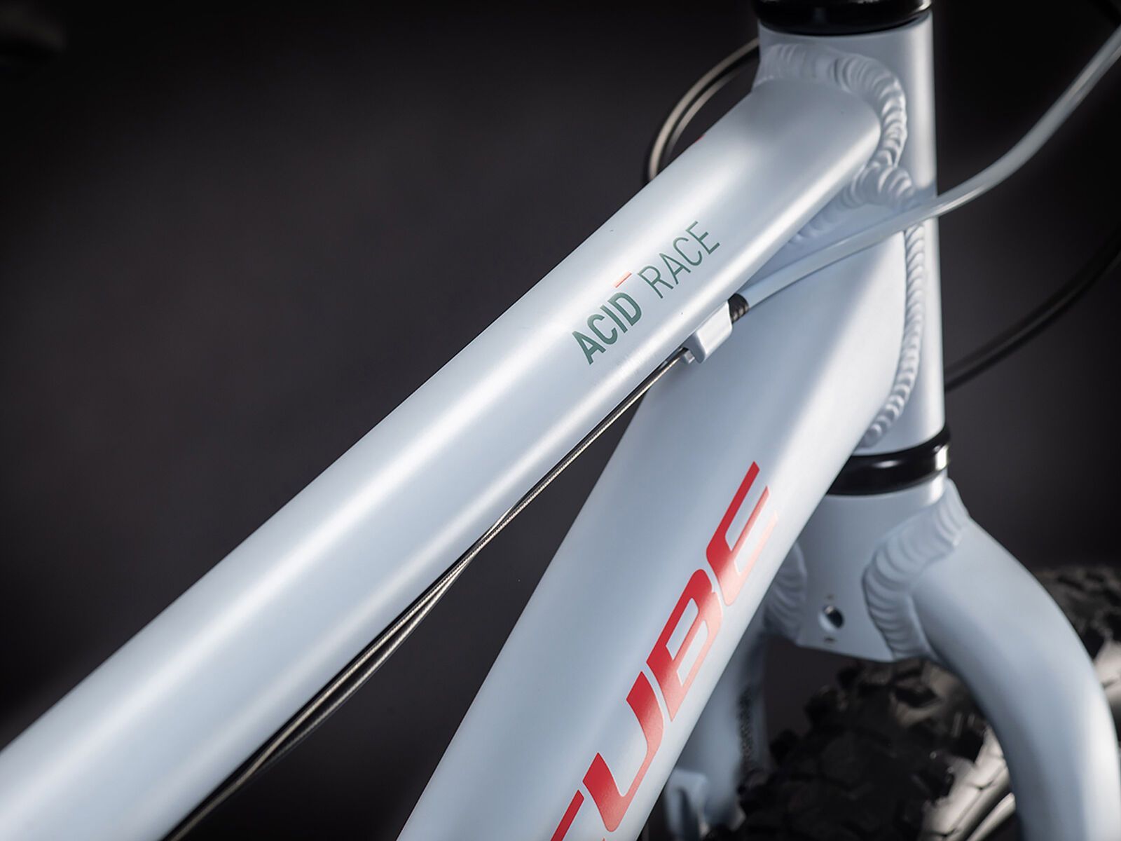 Cube Acid 200 Disc, blue´n´coral - Bild 2