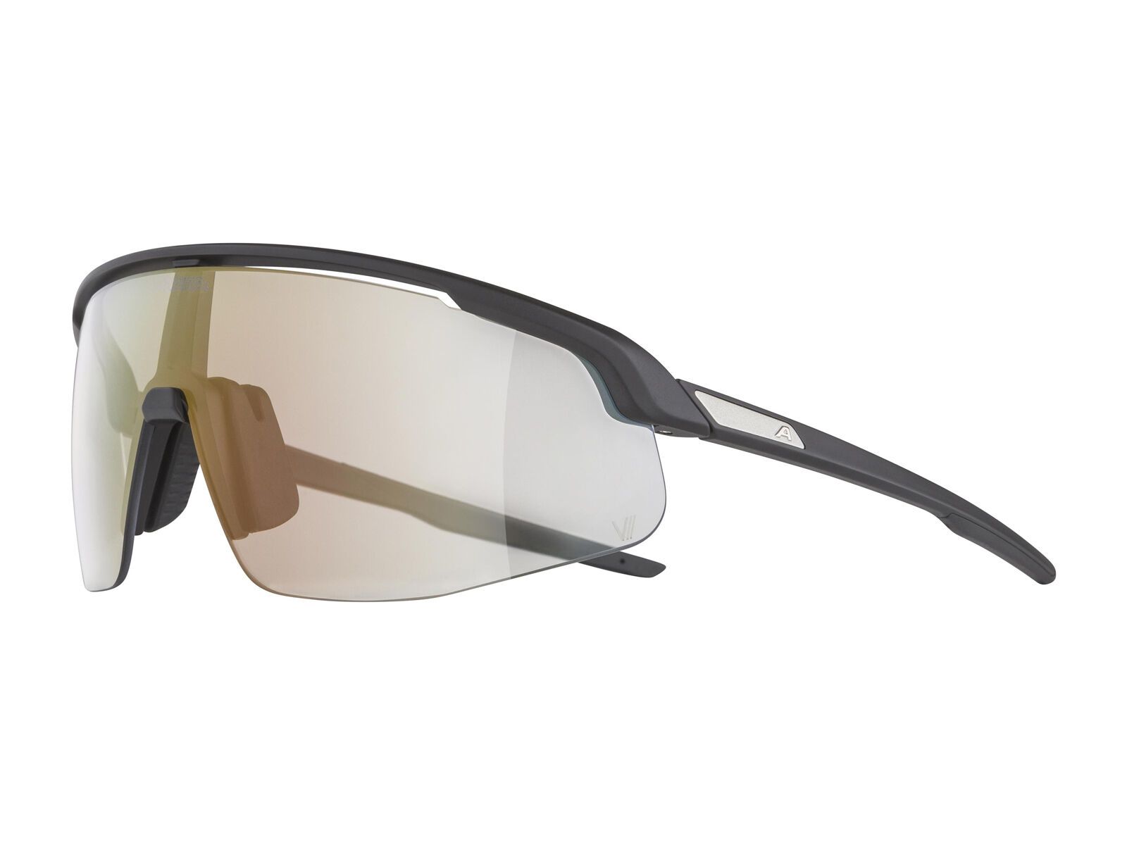 Alpina Turbo Pro V, Clear to Grey I Flash Red / black matt - Bild 4