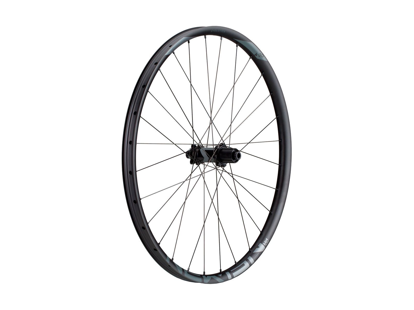 Newmen Evolution SL A.30 29 - Bild 1