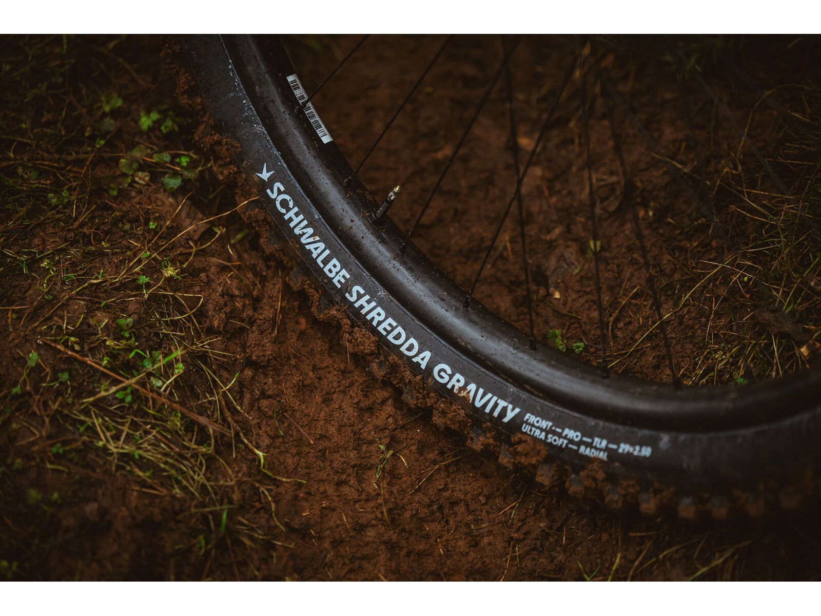 Schwalbe Shredda Front Radial Addix Ultra Soft Gravity Pro - 29 Zoll - Bild 13