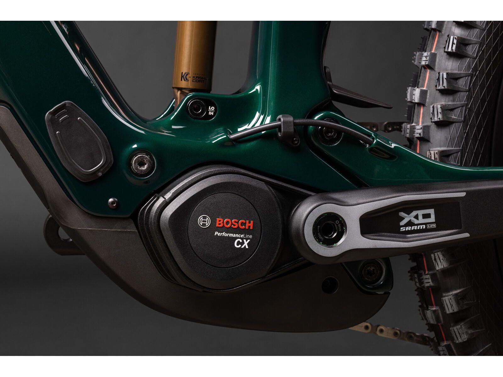 Santa Cruz Vala C / 70 / MX, gloss midnight green - Bild 13