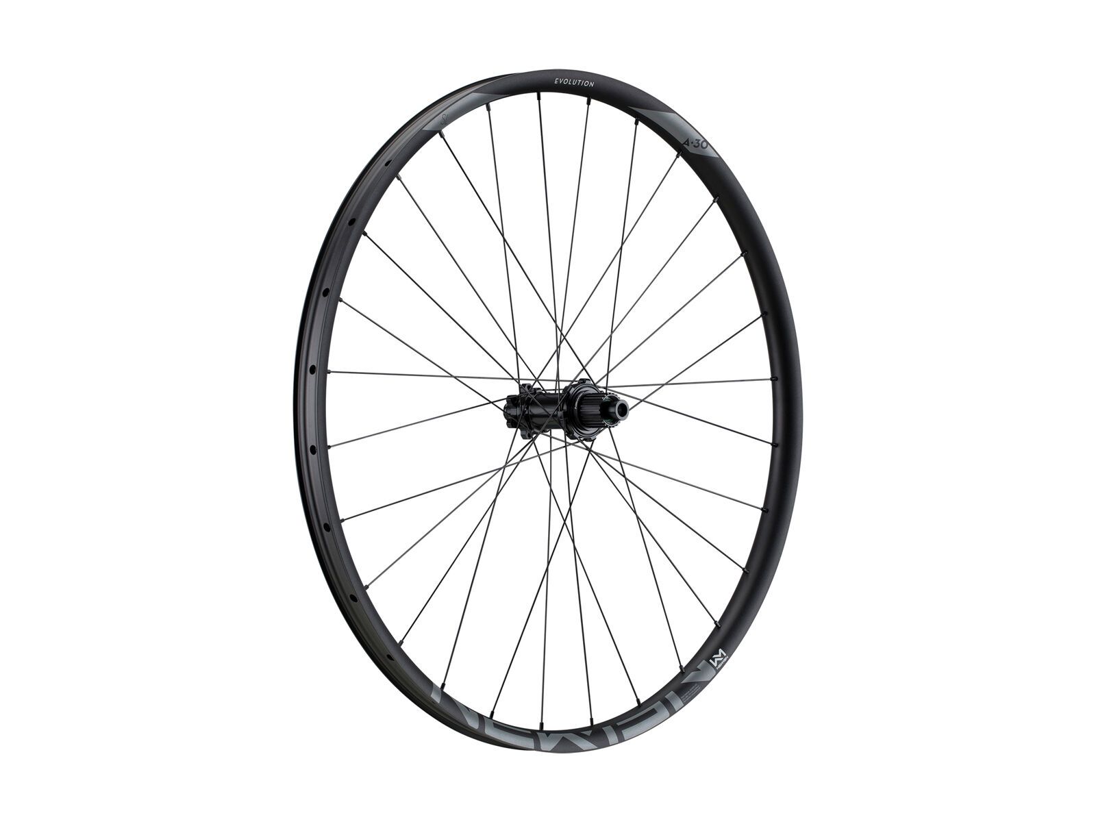 Newmen Evolution SL A.30 6-Loch - 29 / 12x148 mm Boost / SRAM XD, black / silver hub - Bild 1