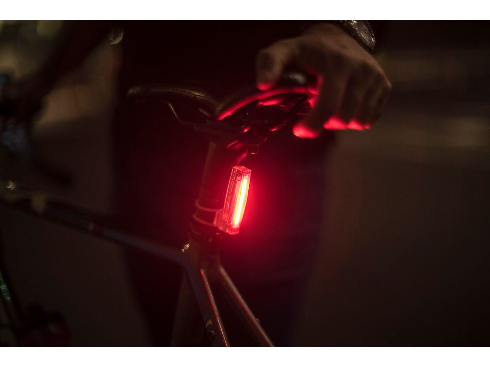 Knog Plus Rear StVZO Bike Light, transparent - Bild 2