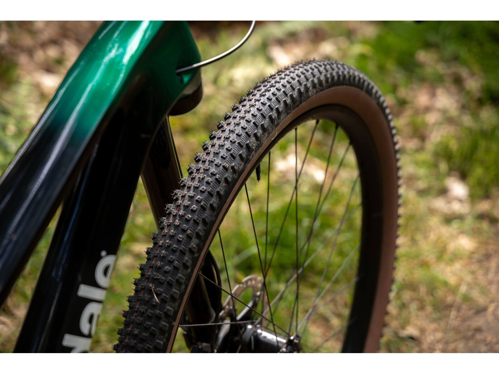 Schwalbe Rick XC Pro Evo Addix Speed TLR - 29 Zoll, transp. sidewall - Bild 18