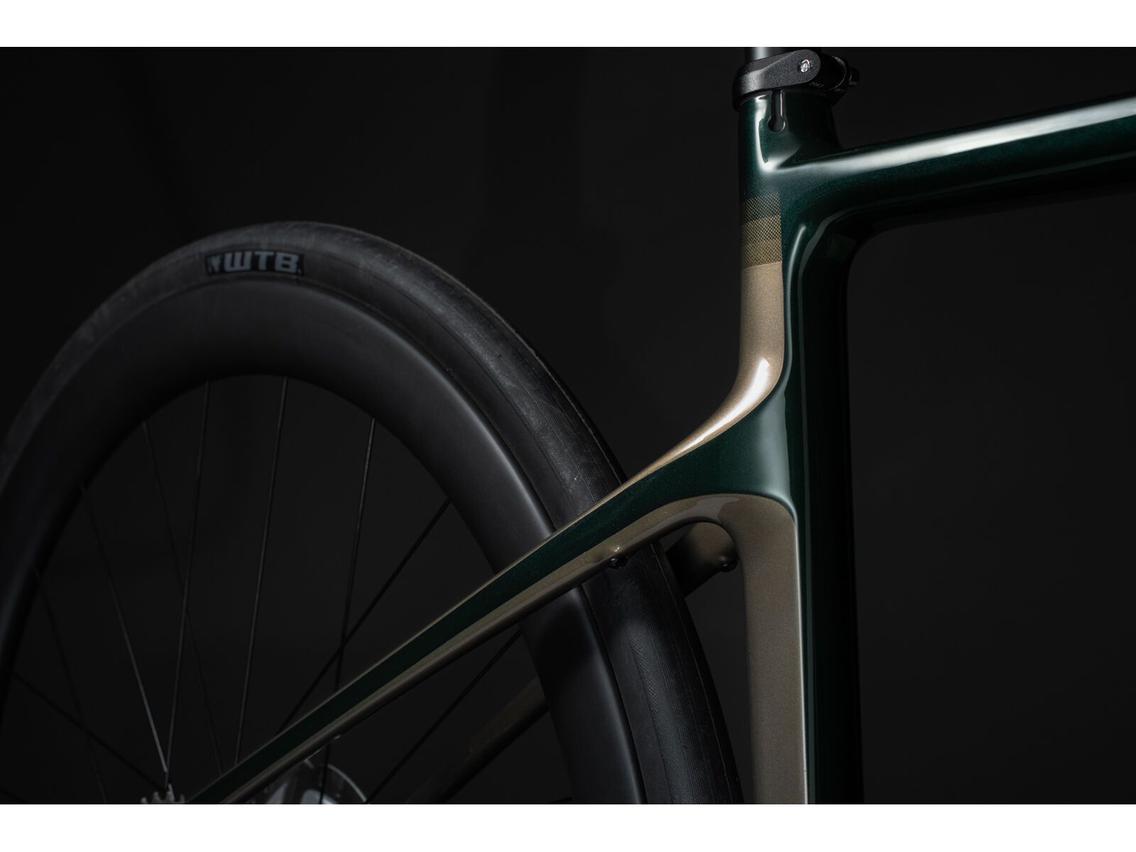 Cannondale Synapse Carbon LTD RLE, gunmetal green - Bild 13