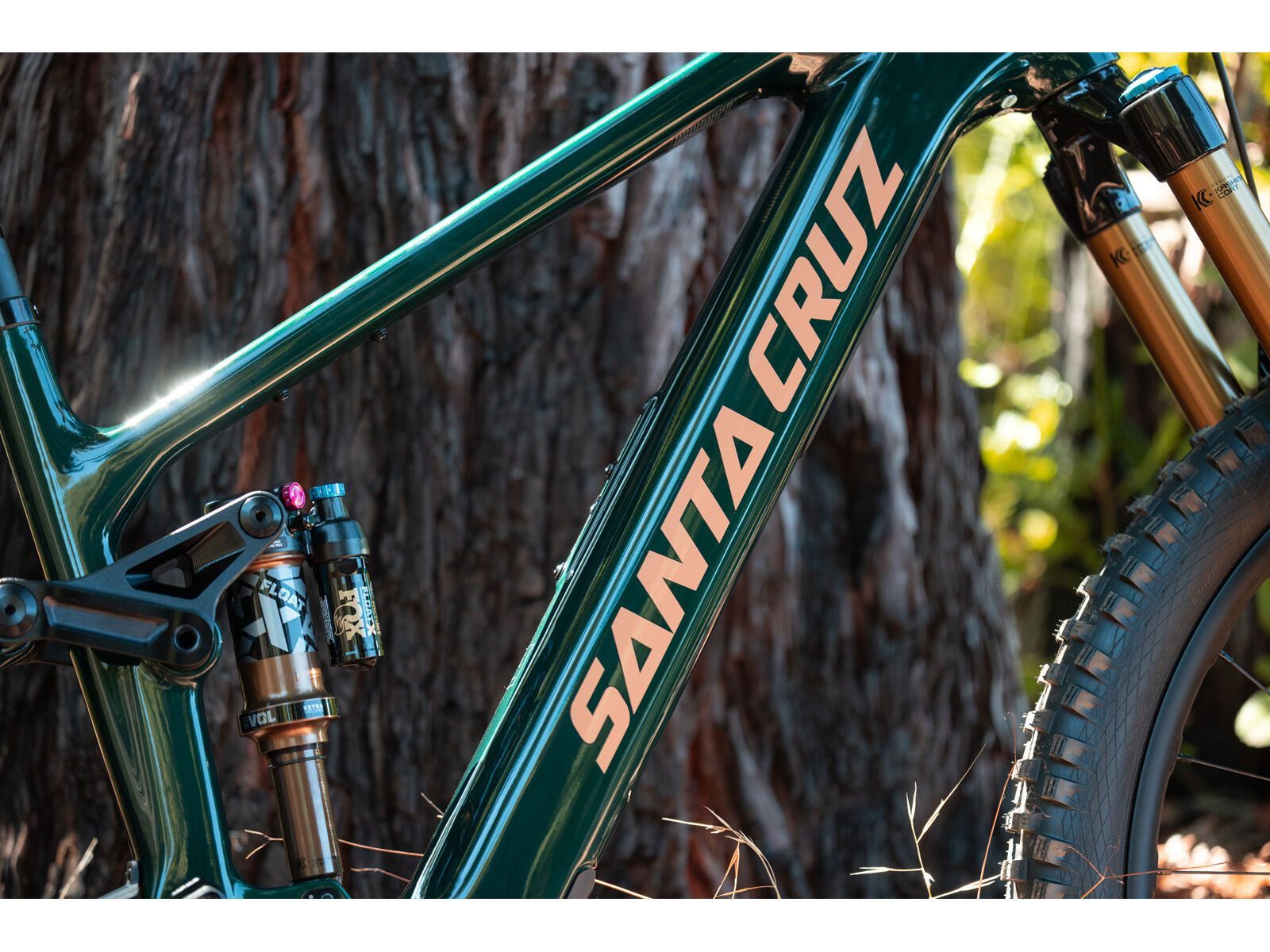 Santa Cruz Vala C / 70 / MX, gloss midnight green - Bild 21