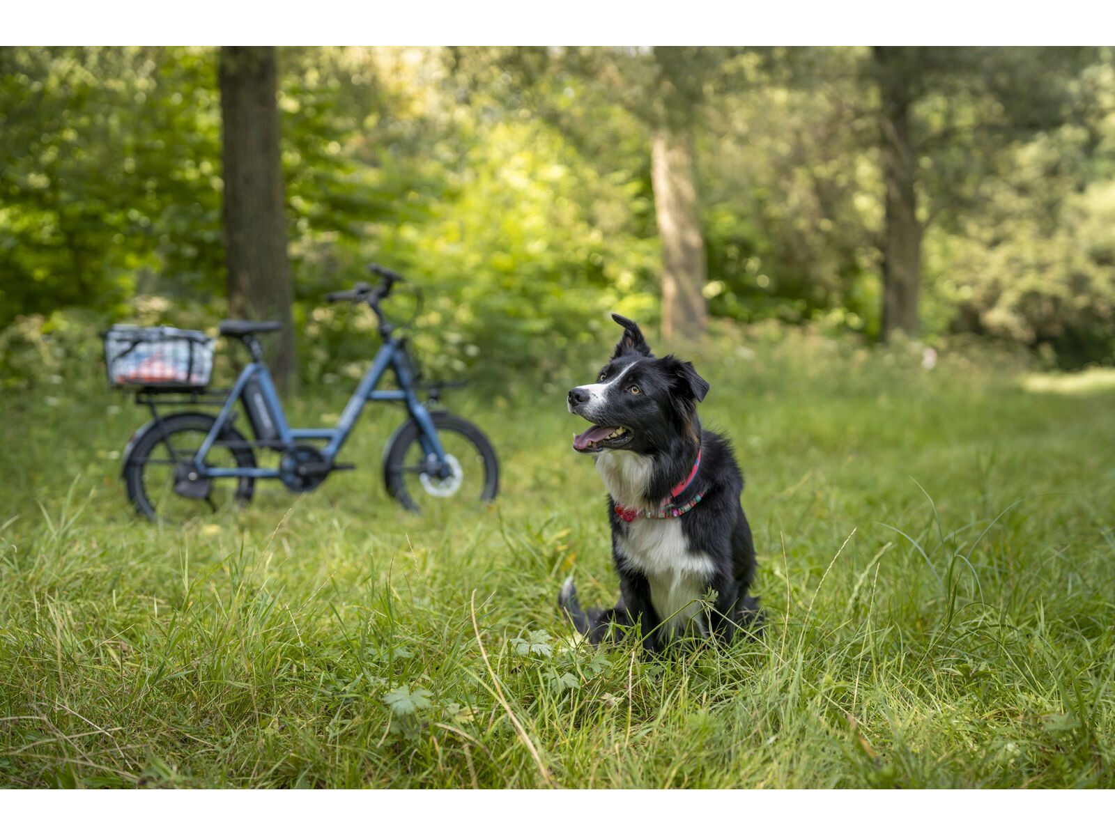 i:SY N3.8 ZR CX Auto Comfort, cloud grey - Bild 7