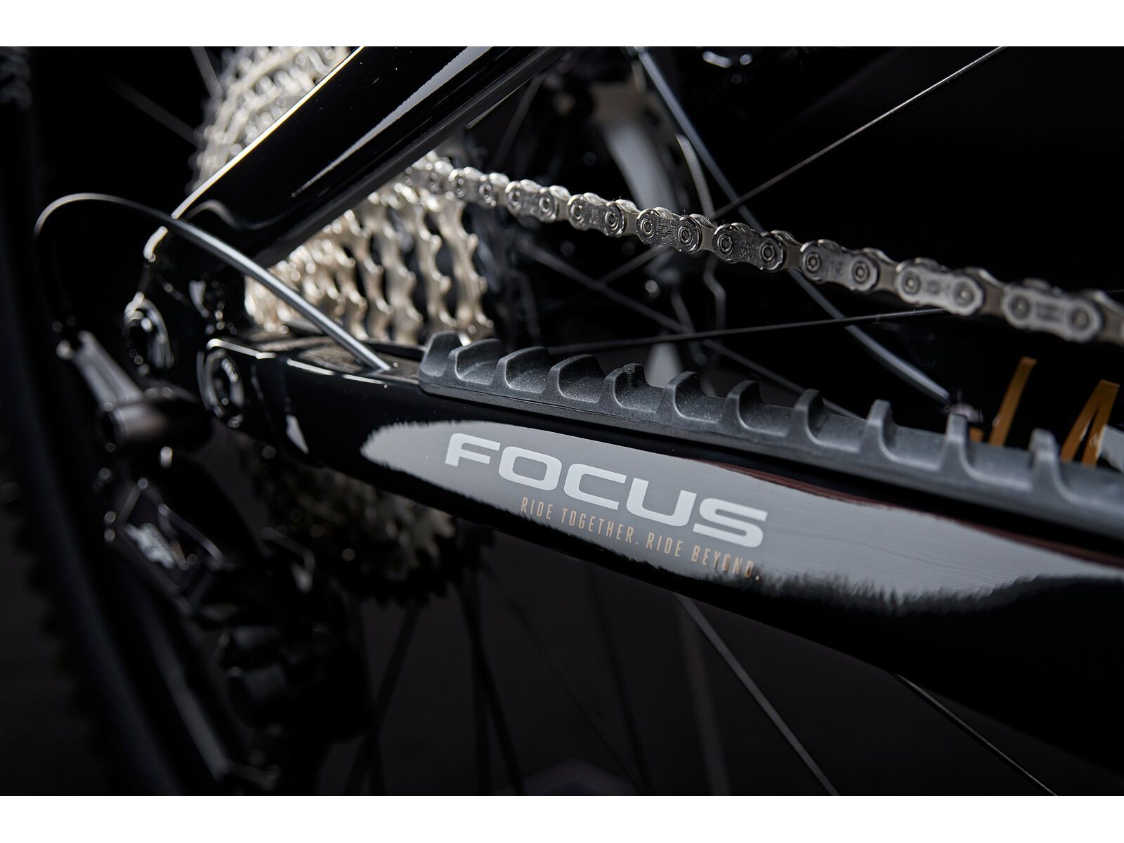 Focus Jam² 8.8, carbon raw / warmgrey - Bild 12