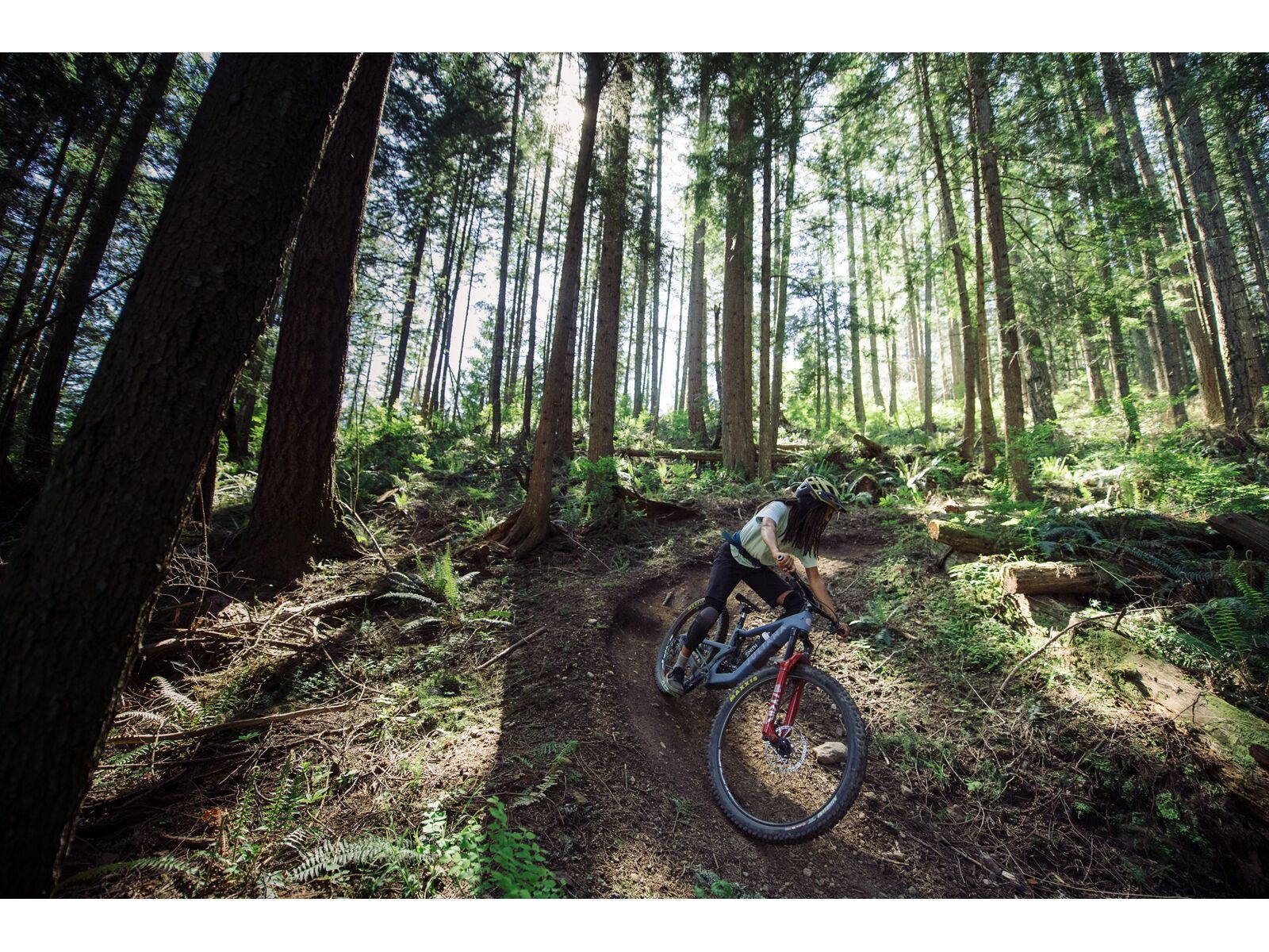 Juliana Roubion C / XT / MX, blue steel/purple - Bild 18