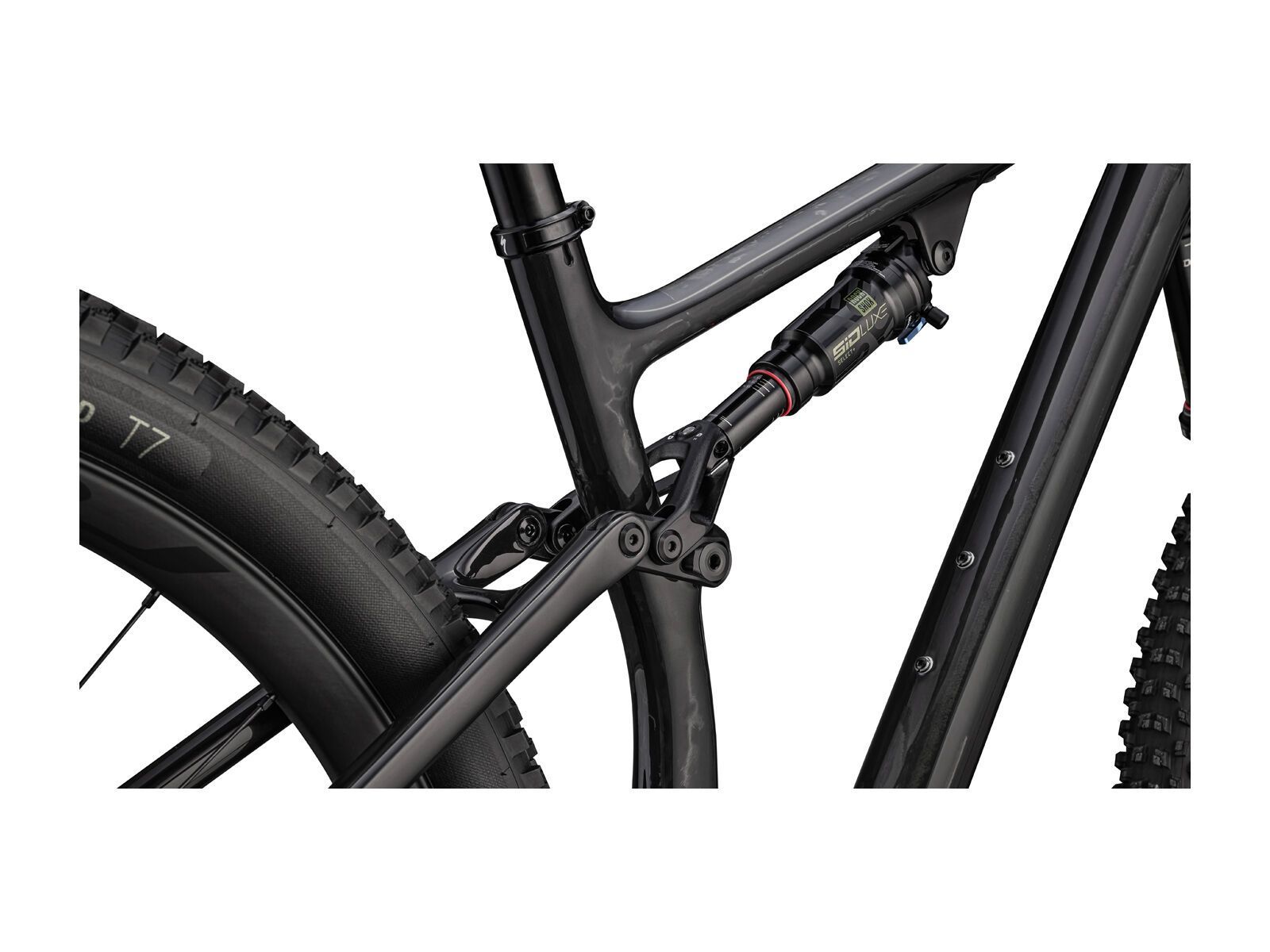 Specialized Epic Evo Expert, carbon/gold ghost pearl/pearl - Bild 4