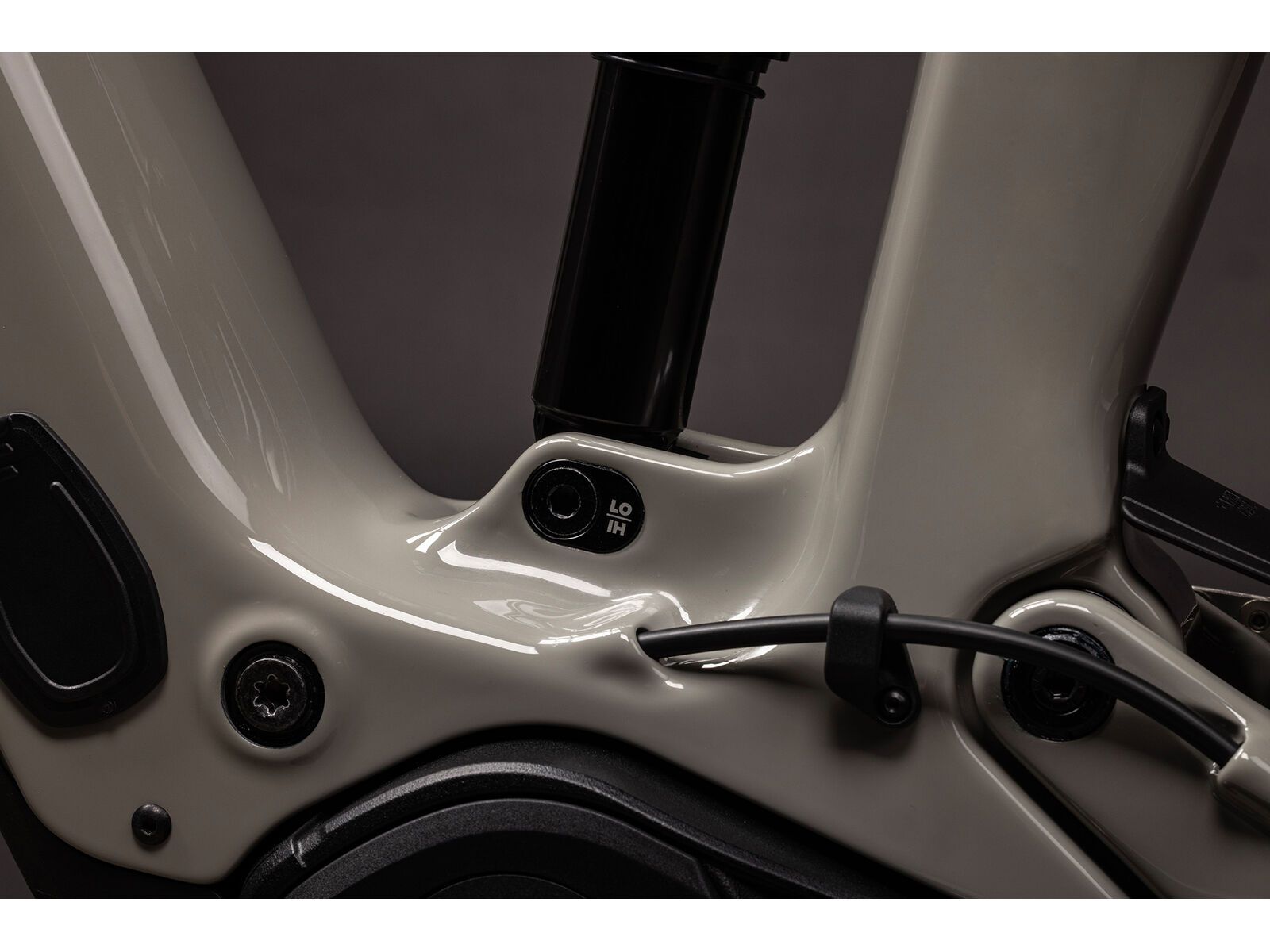 Santa Cruz Vala C / S / MX, gloss grey - Bild 6