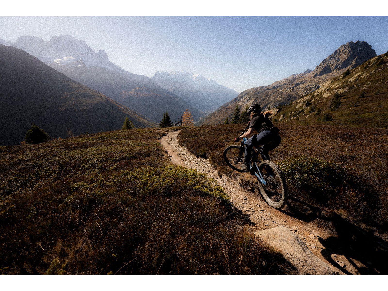 ION Bike Pants Ionic LT Women, midnight - Bild 3