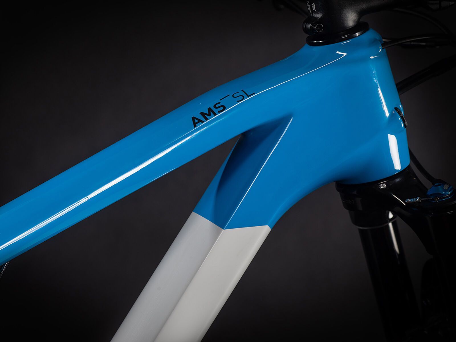 Cube AMS 100 C:68 SL 29, teamline - Bild 2