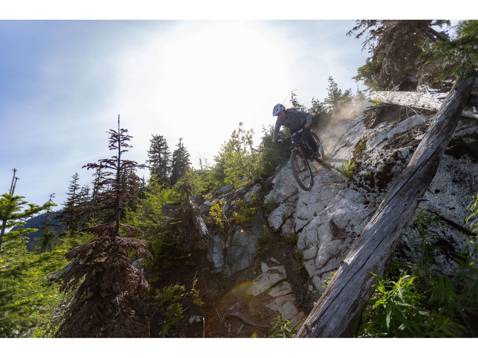 Santa Cruz Nomad C / 90 / MX, matte black - Bild 15