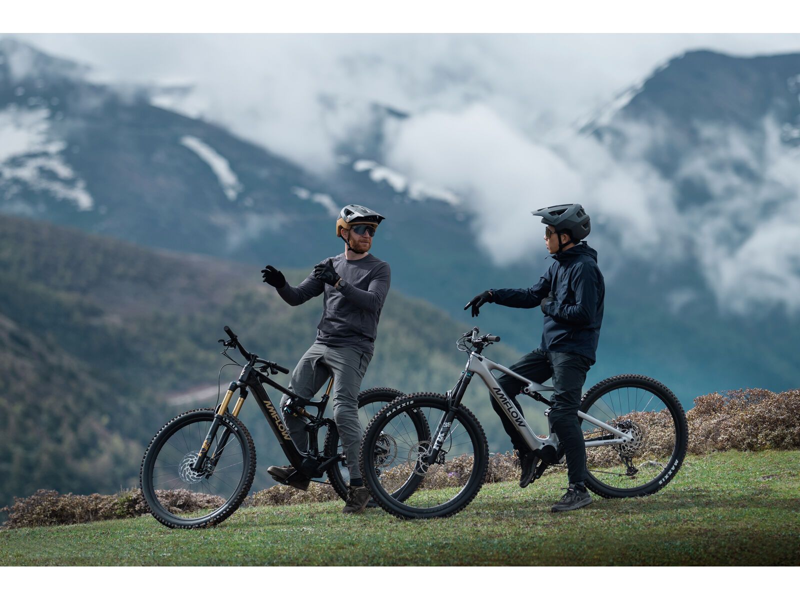 Amflow PL Carbon SRAM GX - 800 Wh, satin silver - Bild 26