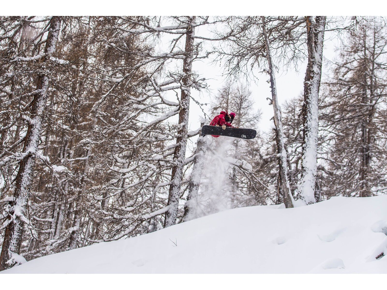 Bataleon Cruiser+ - Bild 9